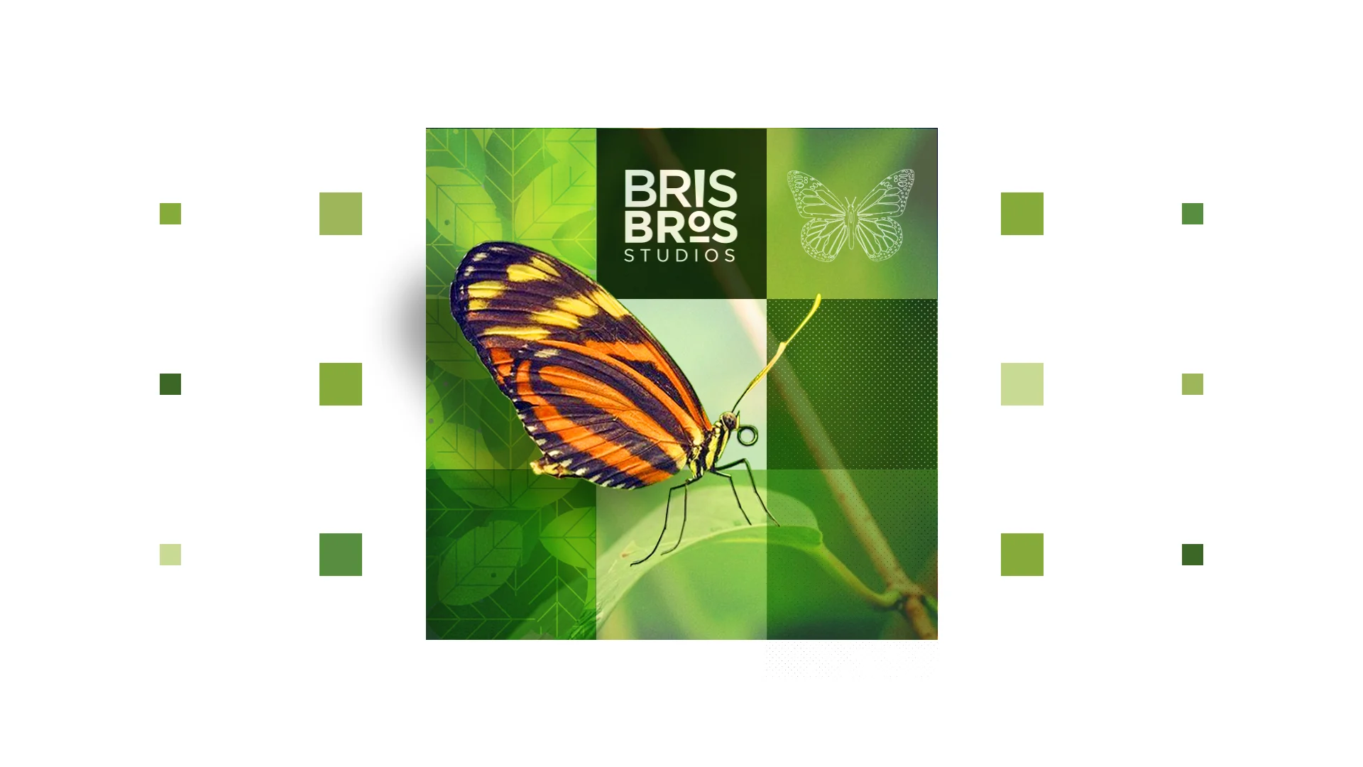 Butterfly_Page.jpg