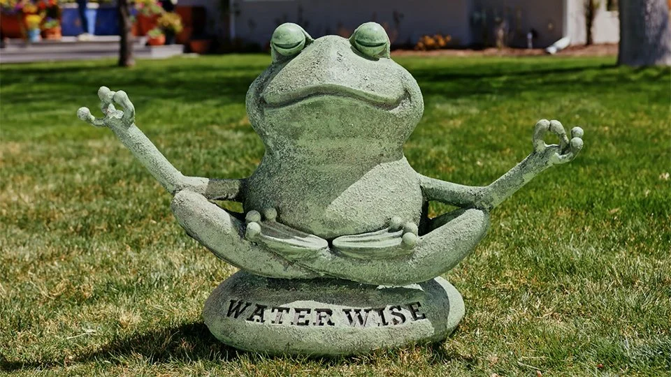 WATER WISE FROG