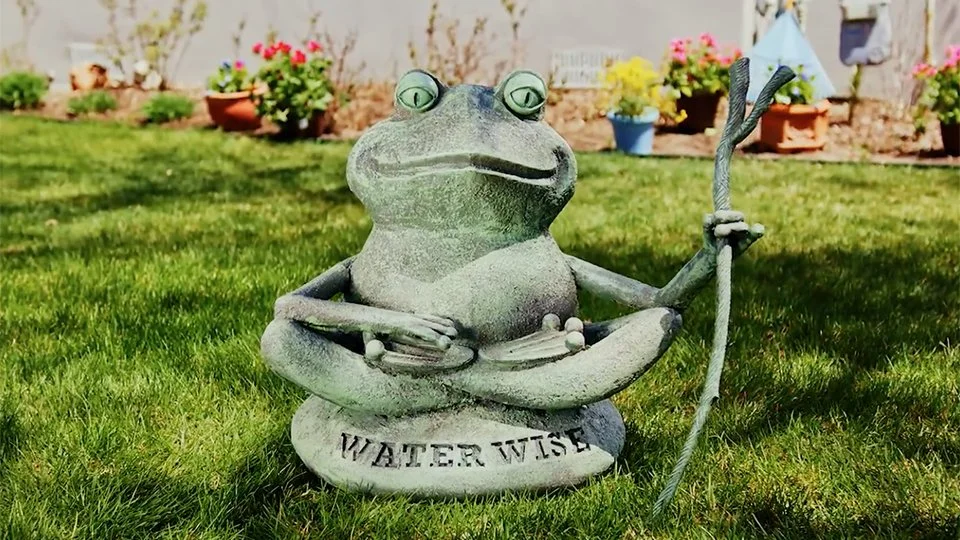 WATER WISE Frog