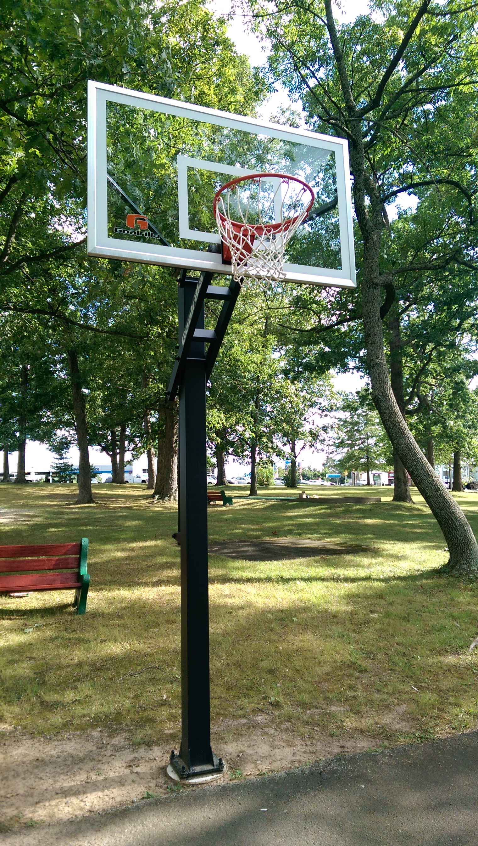 New Basketball Net!