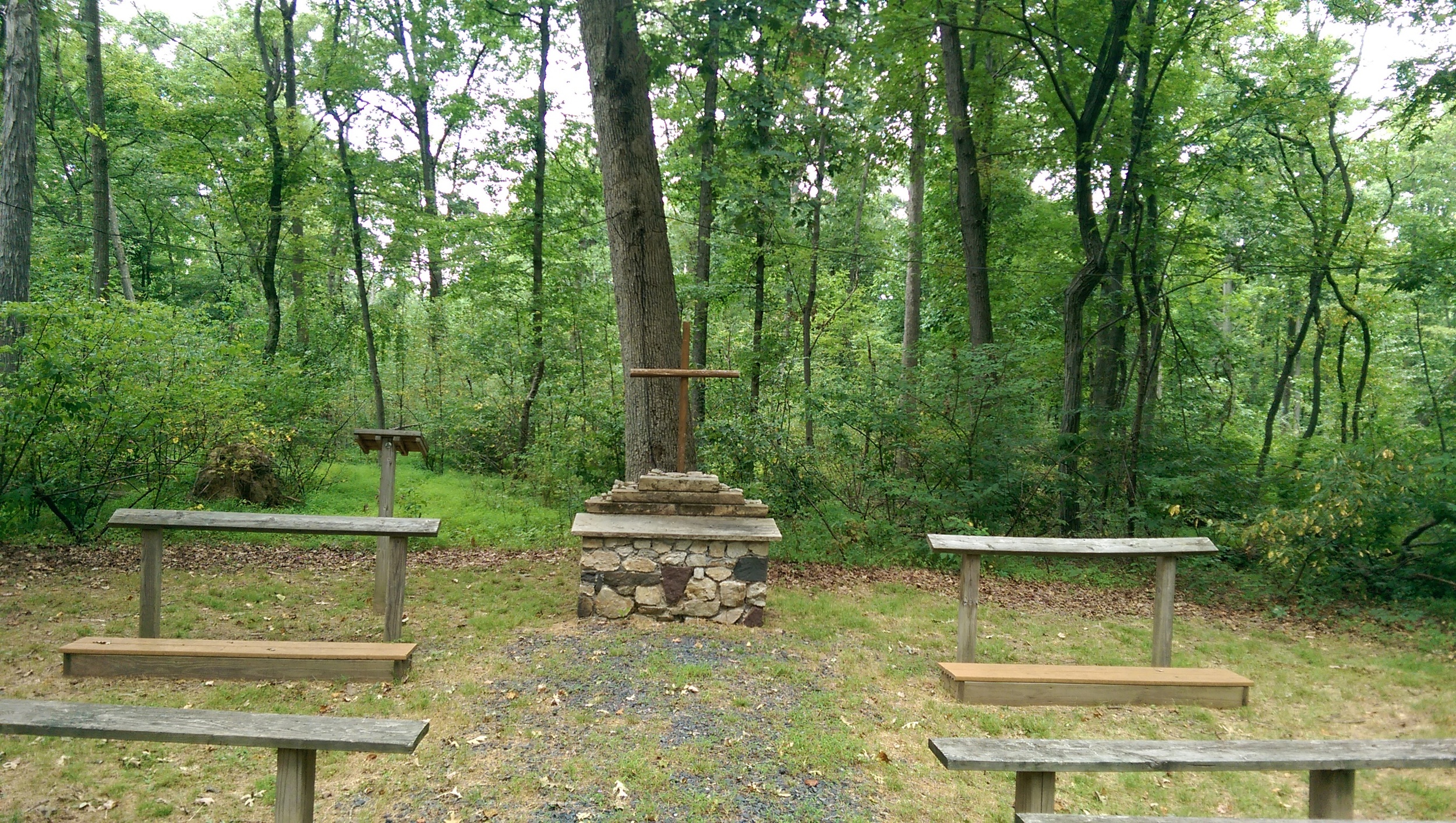 IMAG0784.jpg