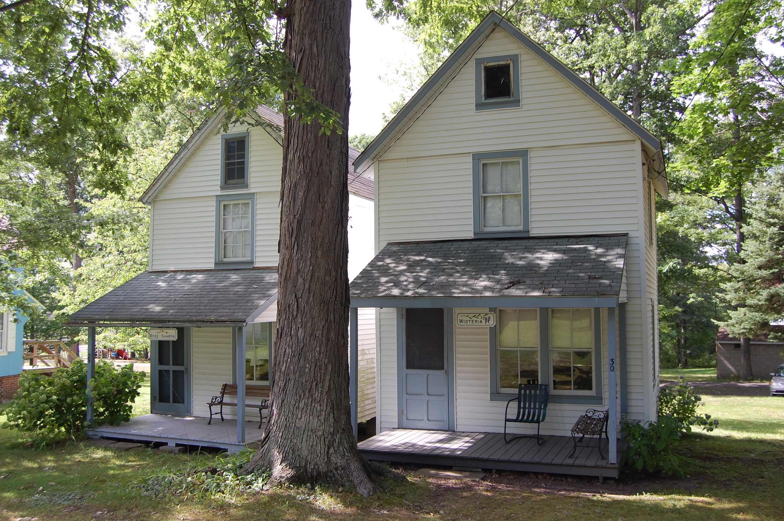 "Rose of Sharon" (Left) "Wisteria" (Right)