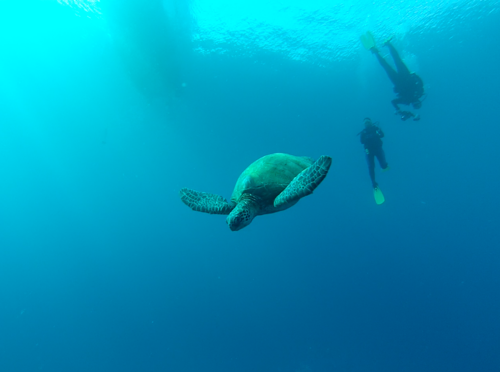 Screen Shot 2016-02-17 at 3.28.13 PM.png