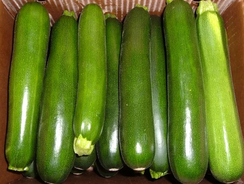 Green & Yellow Zucchini Pack Detail Tier/Layers Qty/Pallet 20 lb box 10/8 80