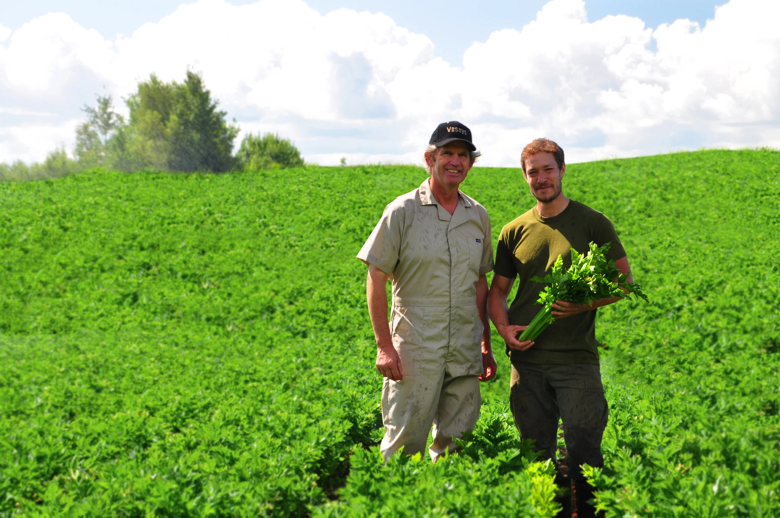 Farm Web Cover.jpg