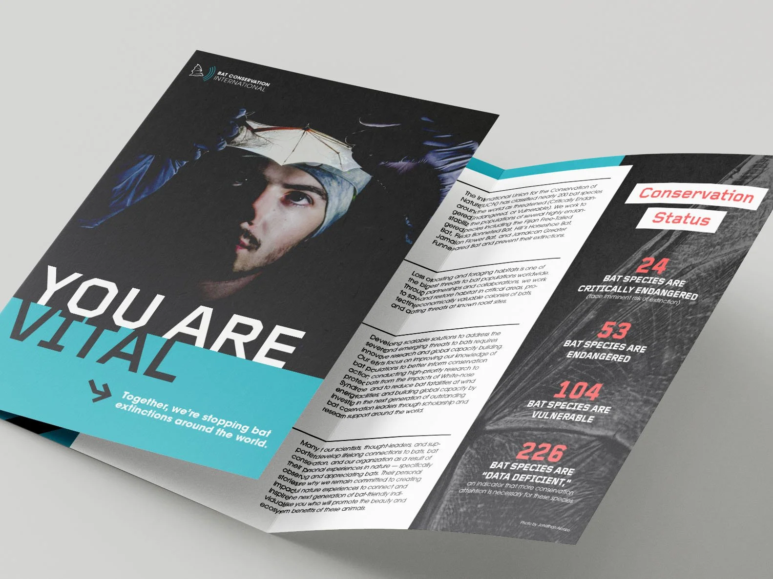 BCI Membership Packet