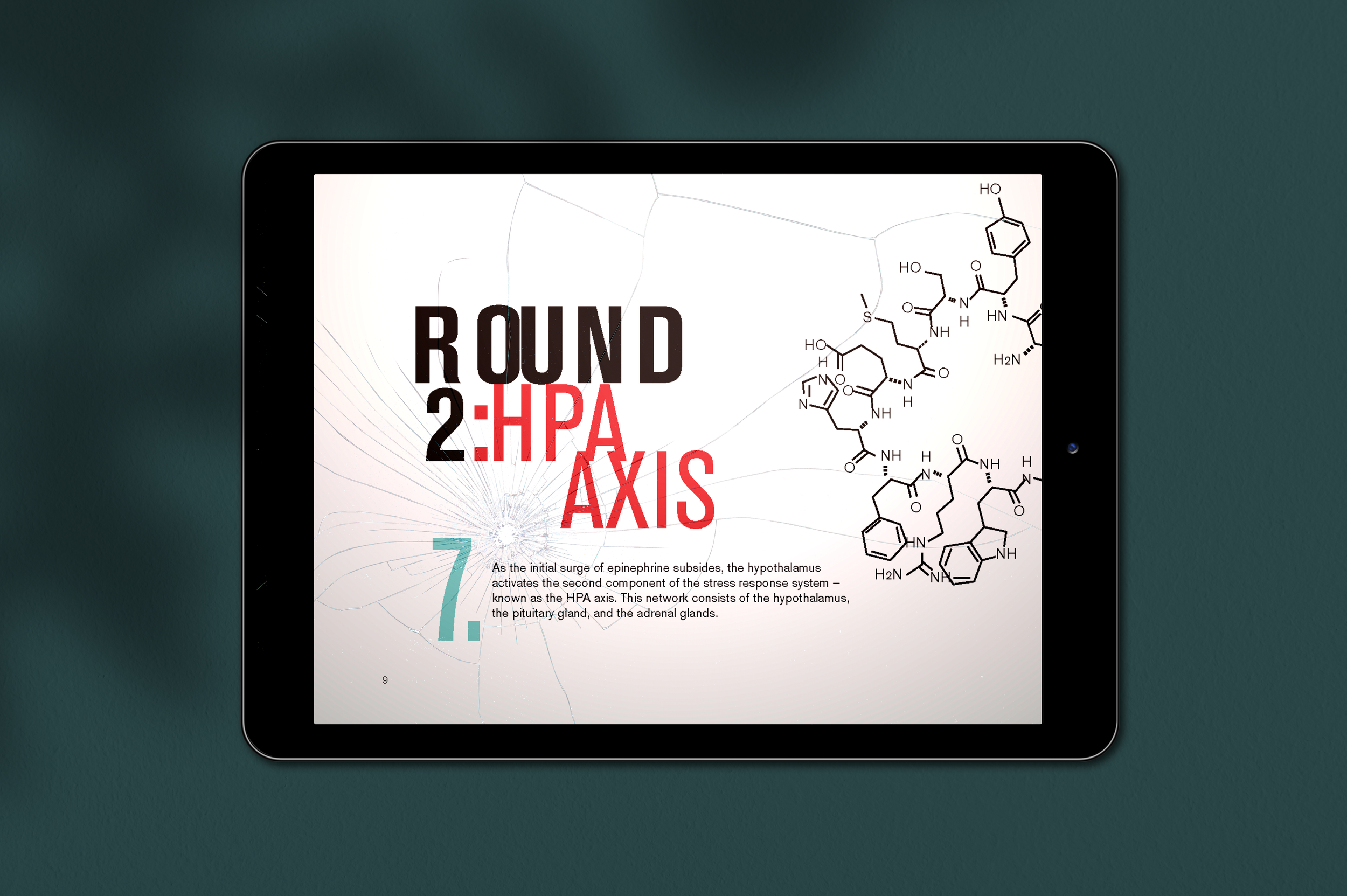 StressResponse-IPAD-10.png