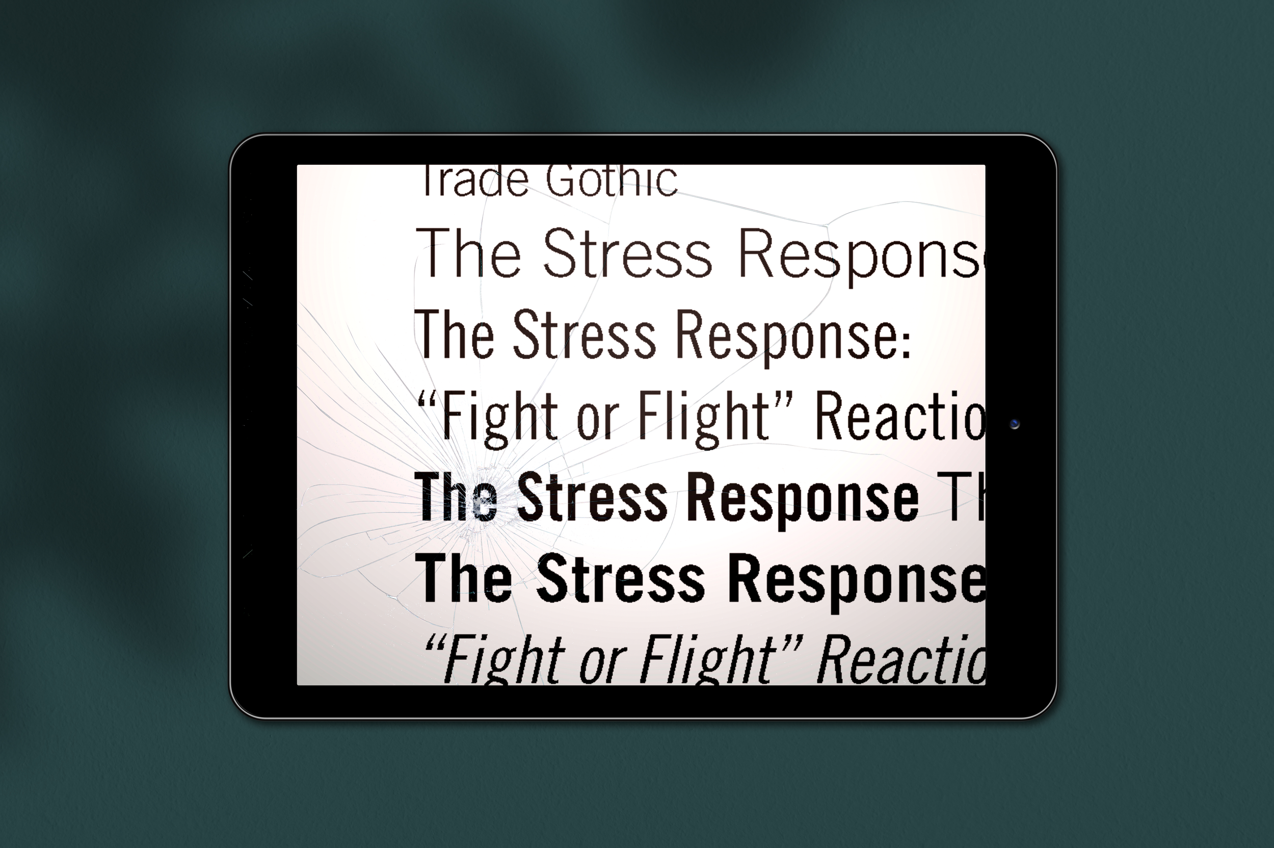 StressResponse-IPAD-17.png