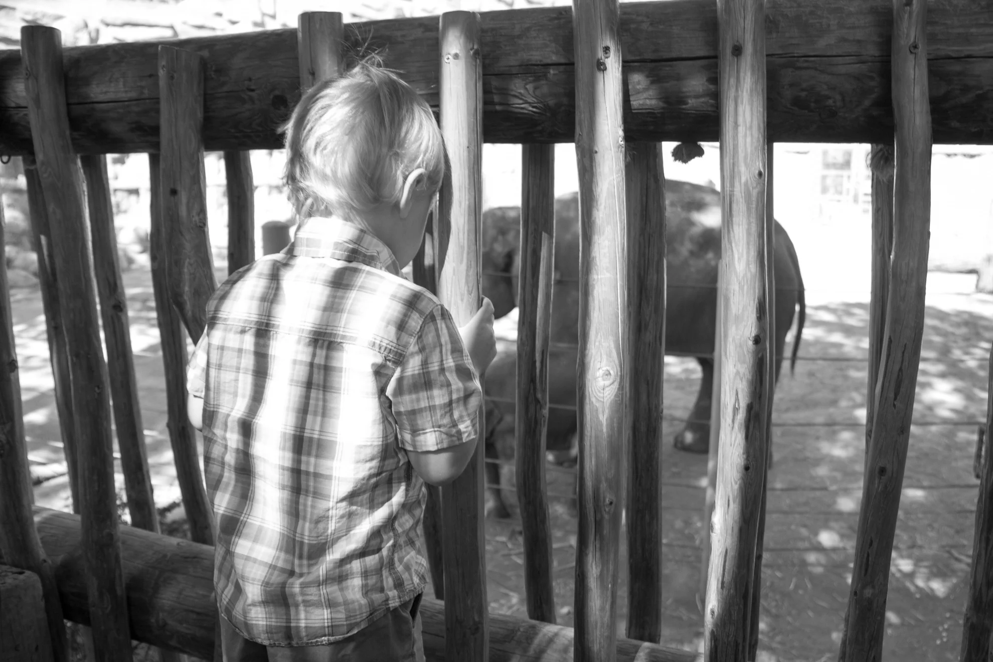 zoo-trip-selectives-34.jpg