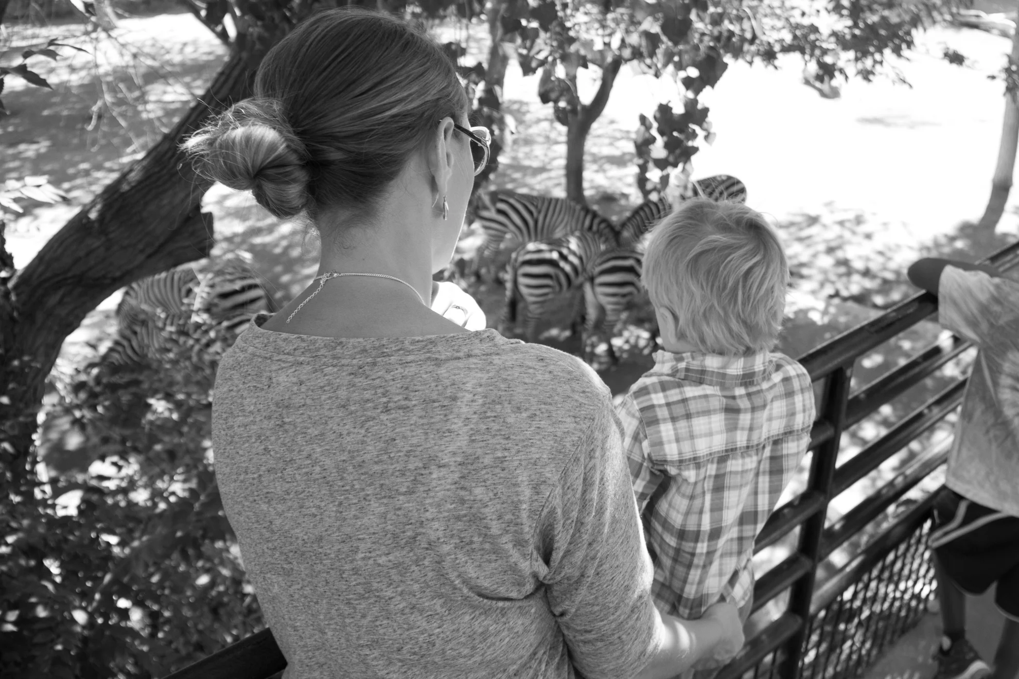 Day at the Zoo - Tagalong