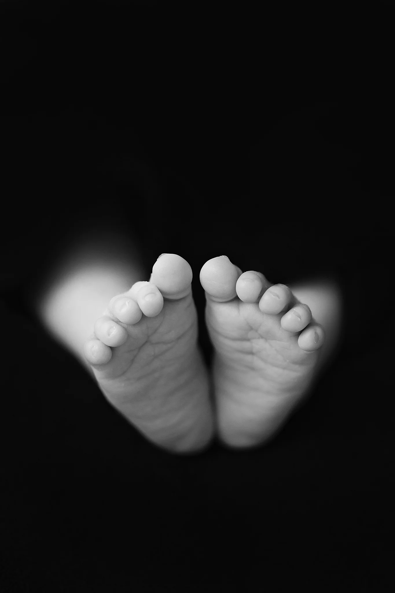 newborns-038.jpg