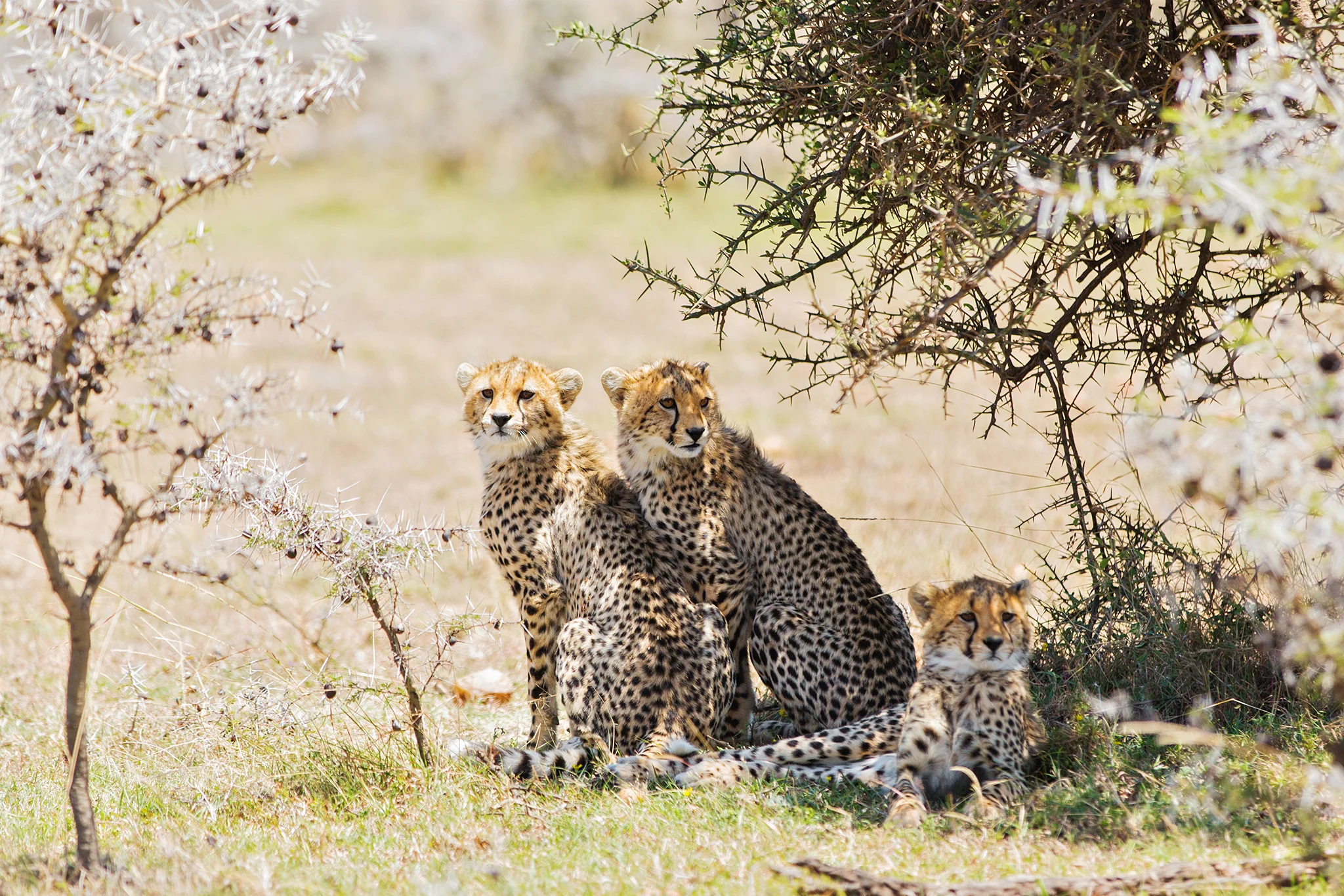 africa-06.jpg