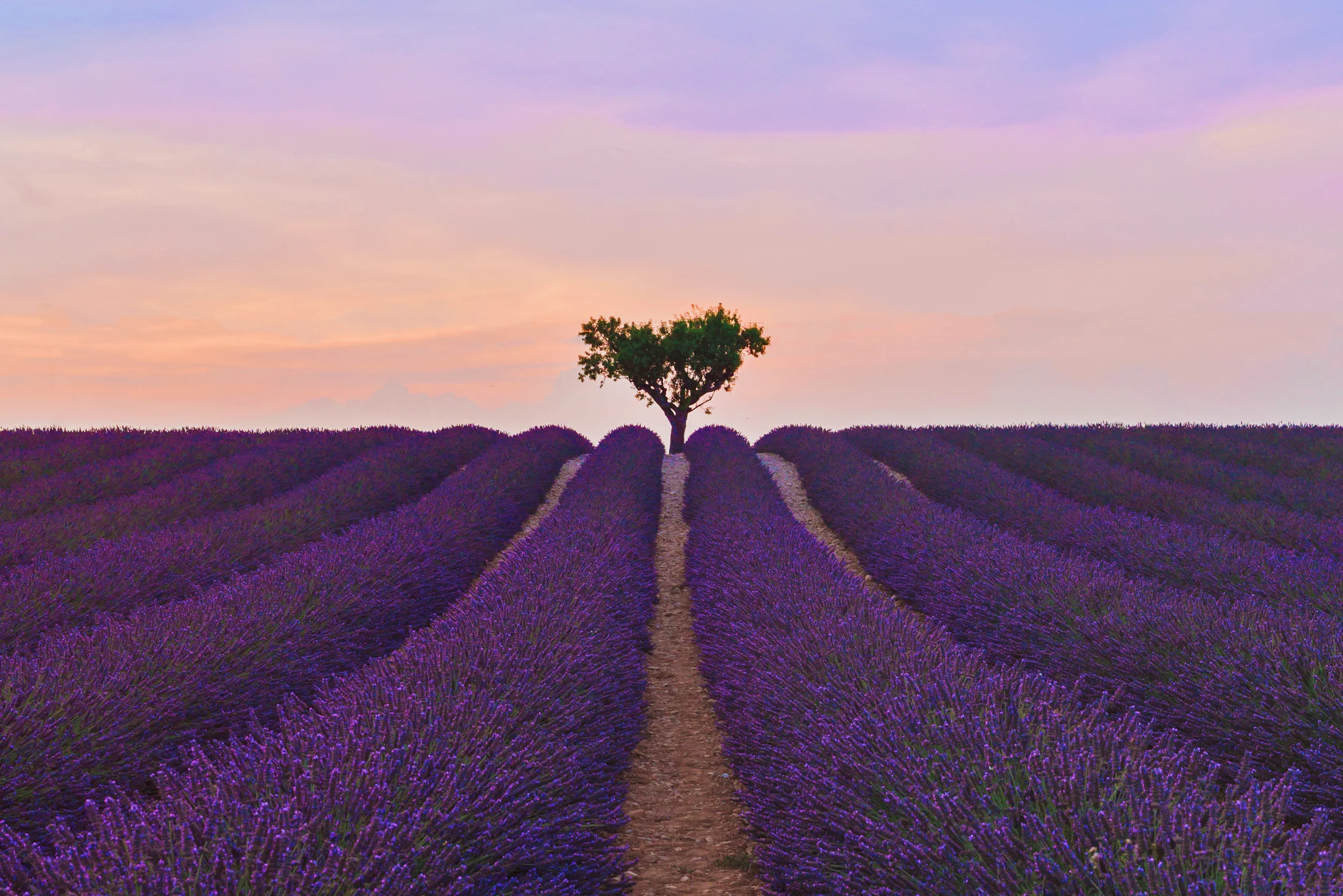 France