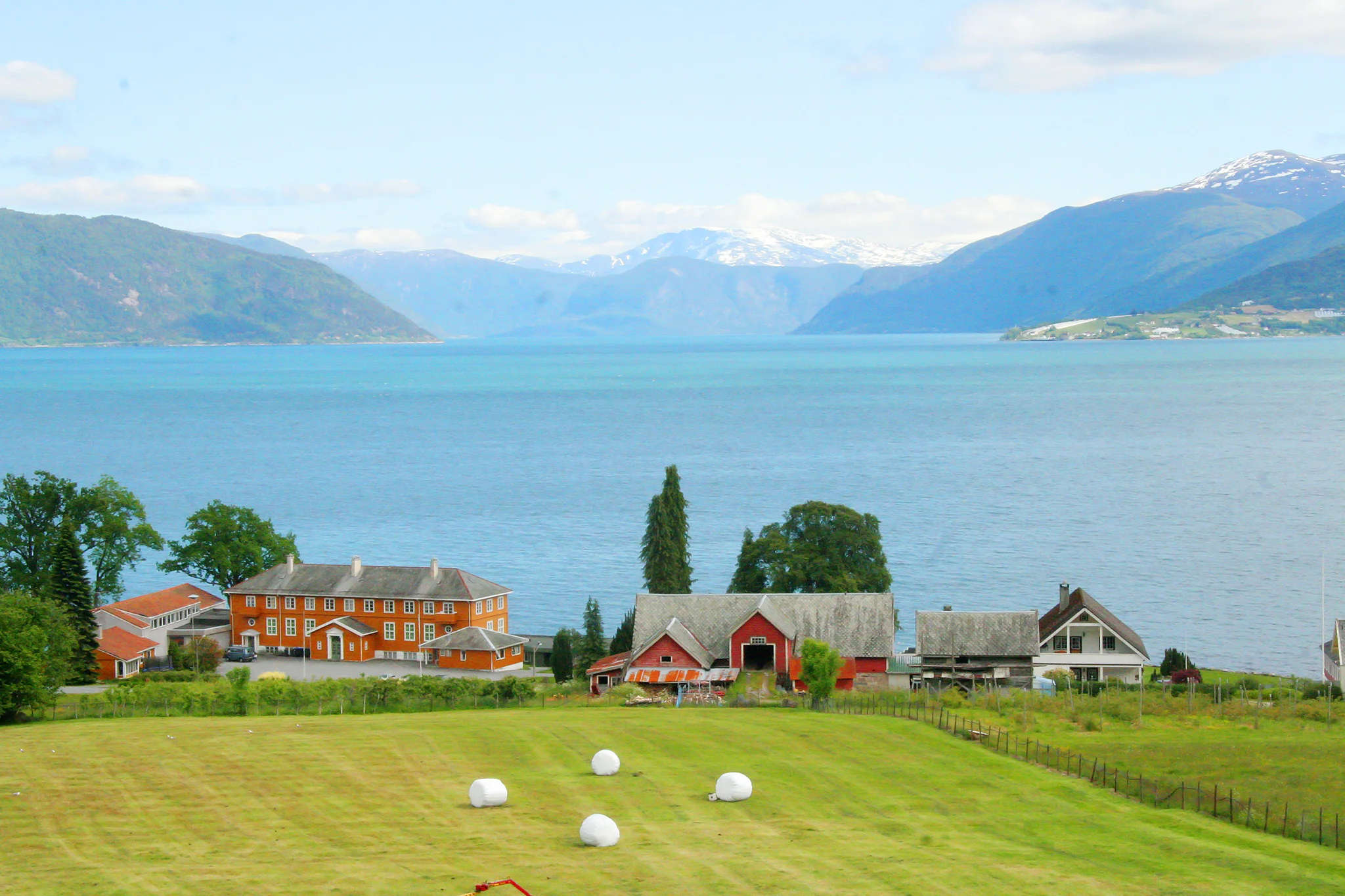 20090613_0009.jpg