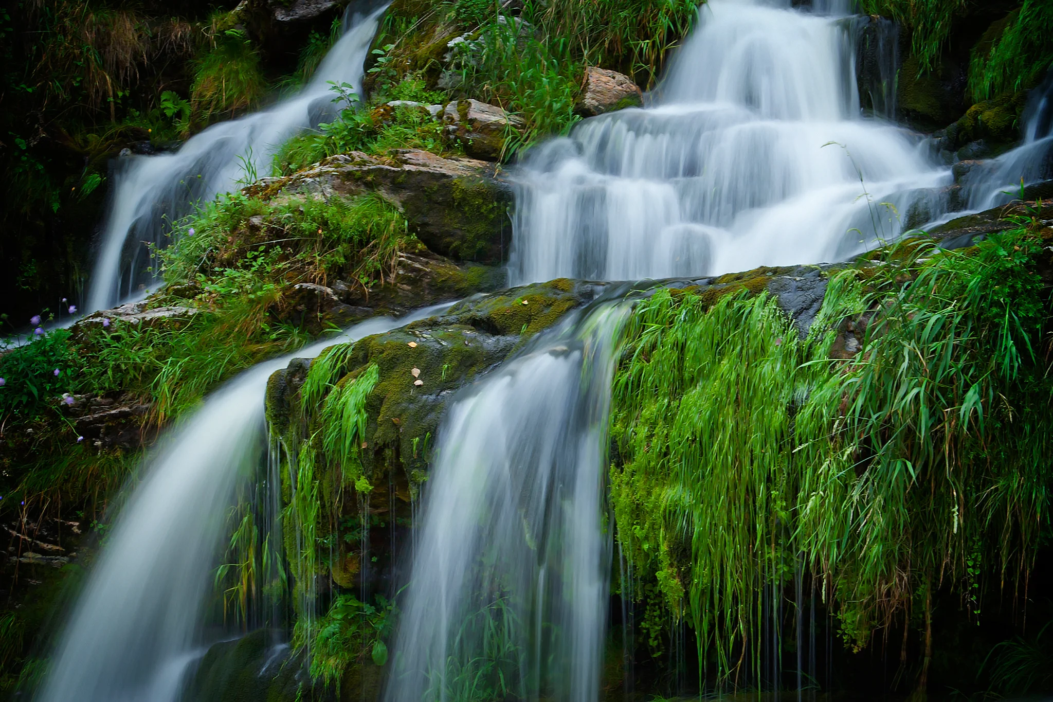 20110826_0050c.jpg