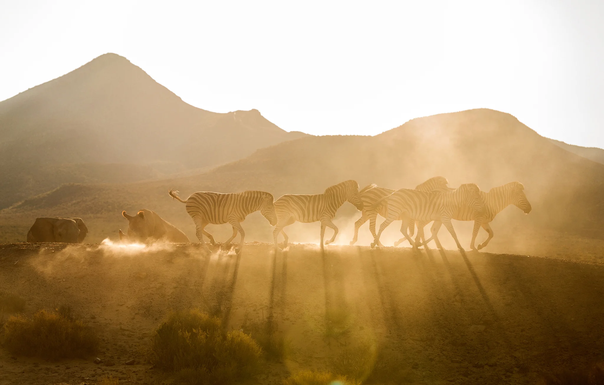 SOUTH AFRICA