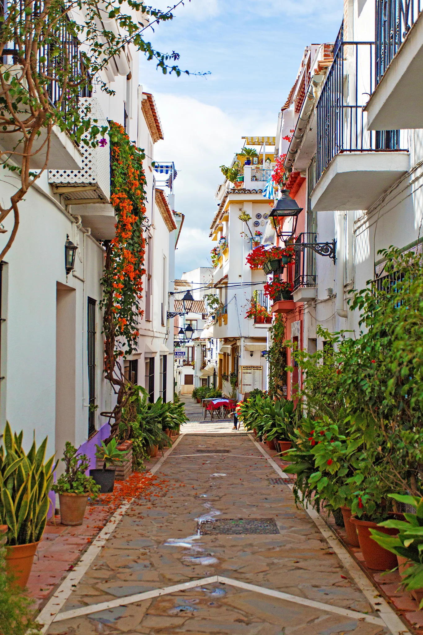 Spain --->