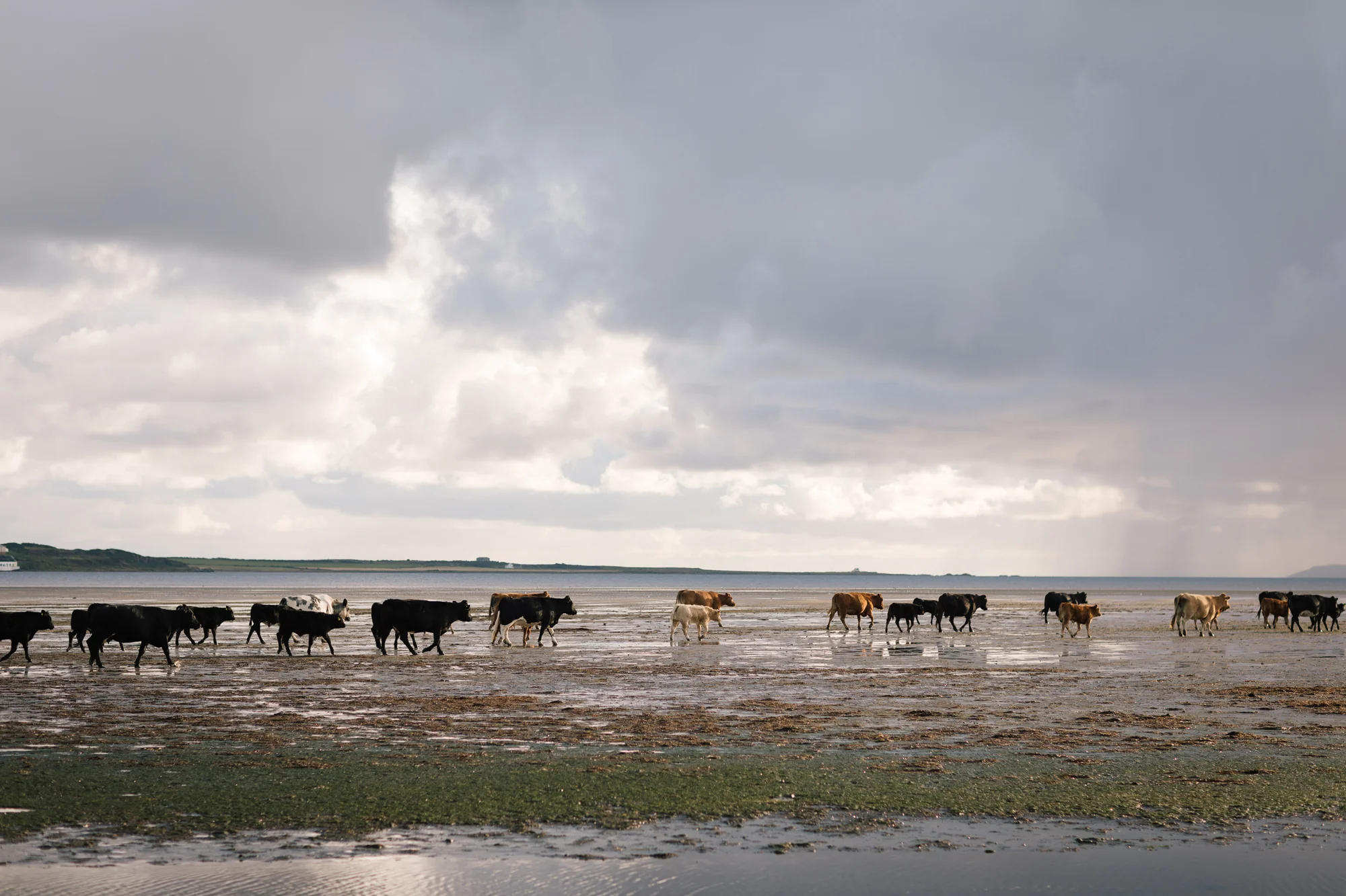  A landscape and portrait shoot for Diageo in Islay and Skye looking at all the people and places involved in making single malt whisky. 