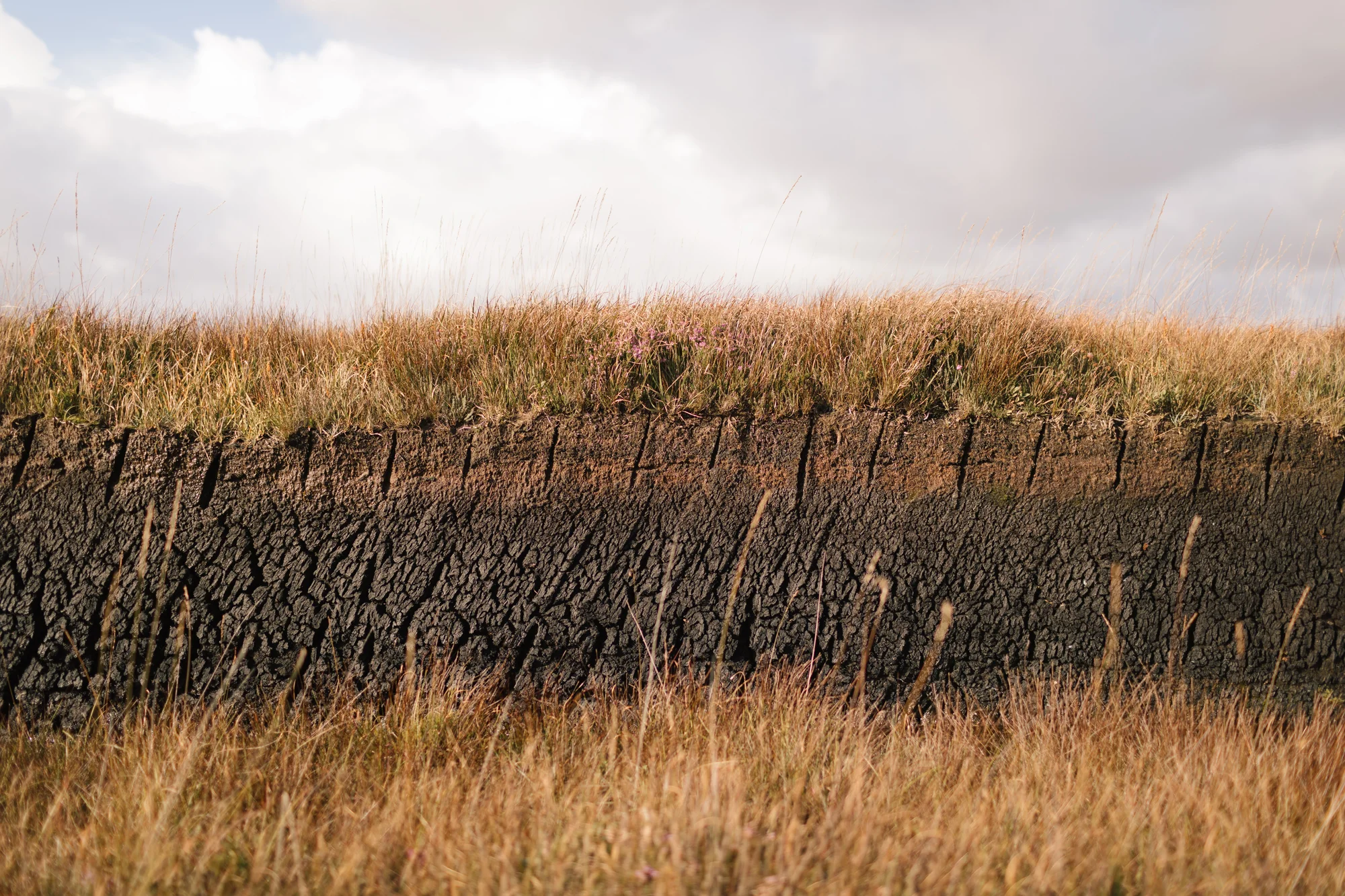  A landscape and portrait shoot for Diageo in Islay and Skye looking at all the people and places involved in making single malt whisky. 