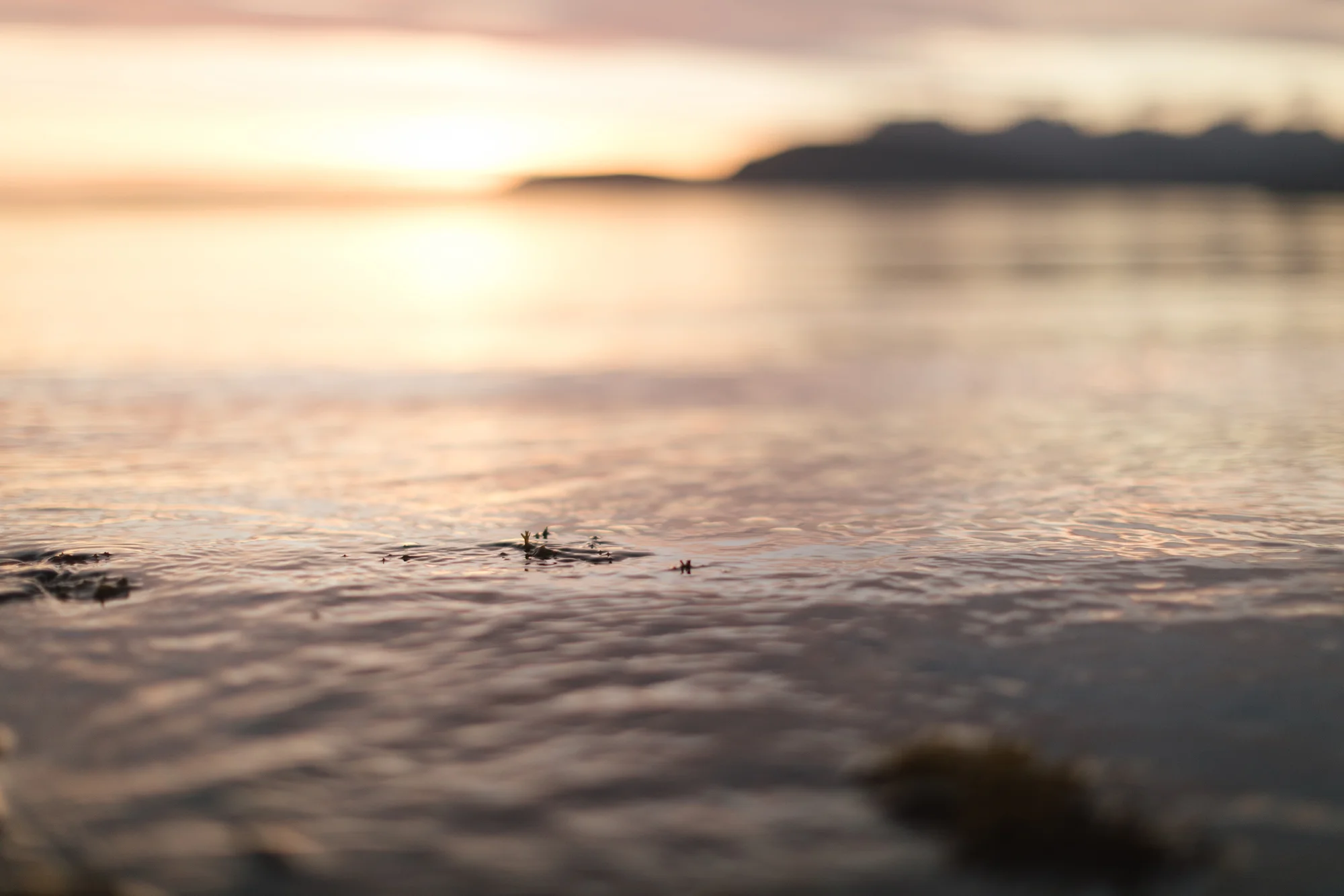 A landscape and portrait shoot for Diageo in Islay and Skye looking at all the people and places involved in making single malt whisky.