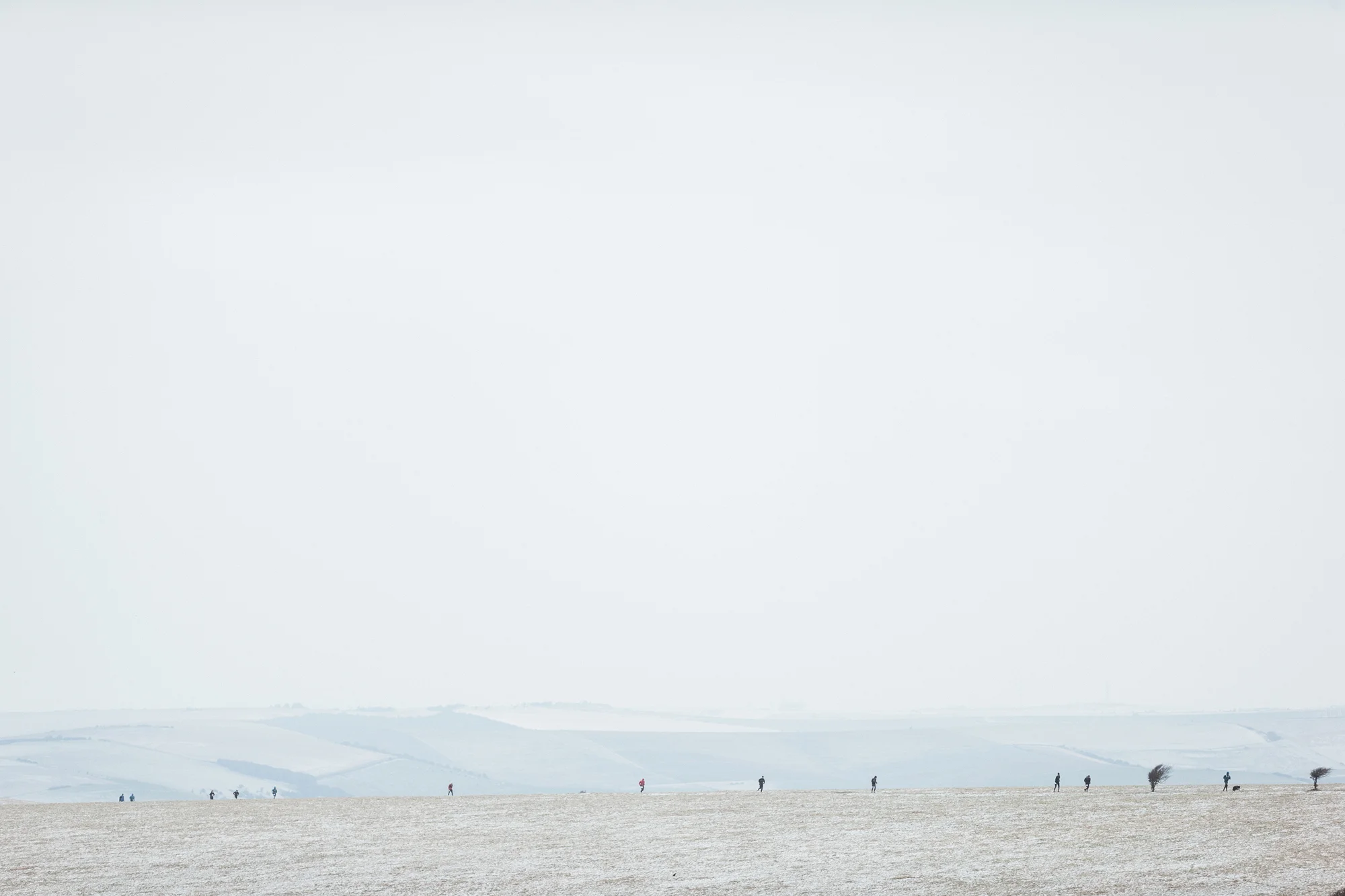  The Moyleman is an offroad marathon run over the South Downs around the town of Lewes. Without being difficult enough, this year a fresh dump of snow, a chilling northerly wind and temperatures just above freezing made it particularly challenging. 