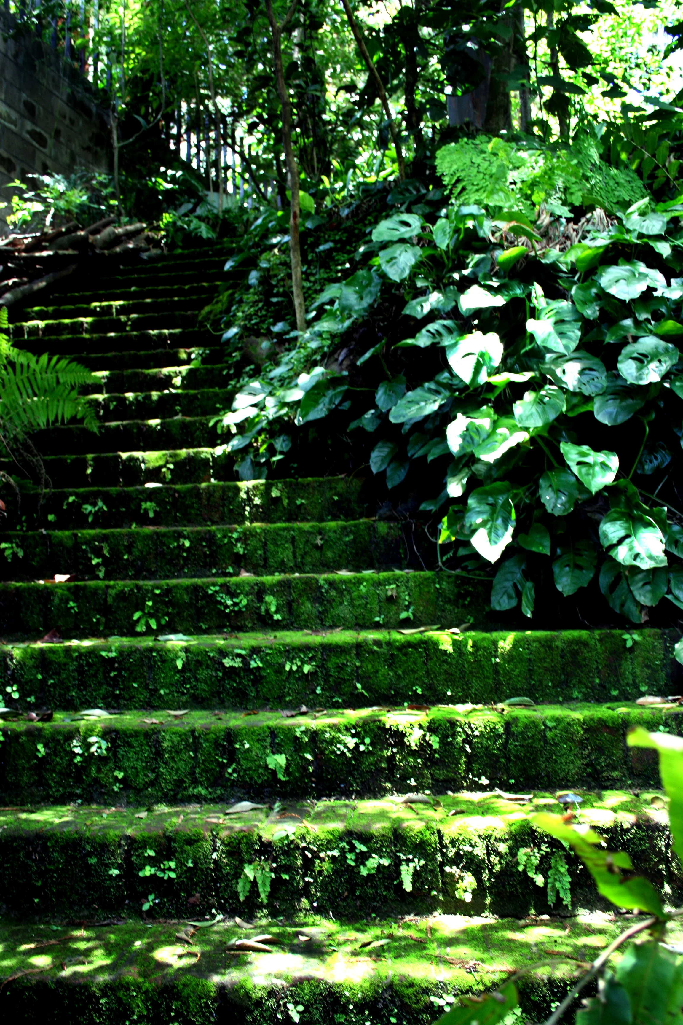 Garden Stairway.jpg