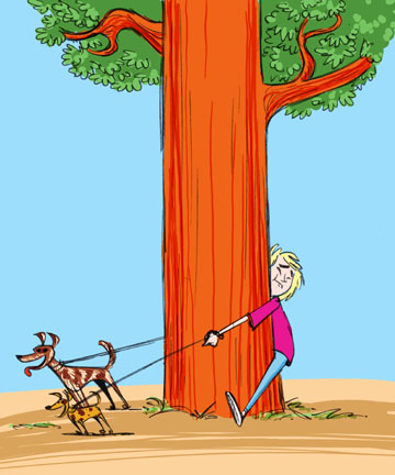 tree.jpg