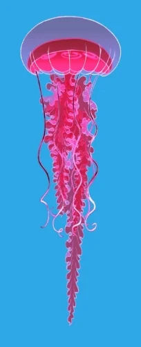 jelly_df.jpg