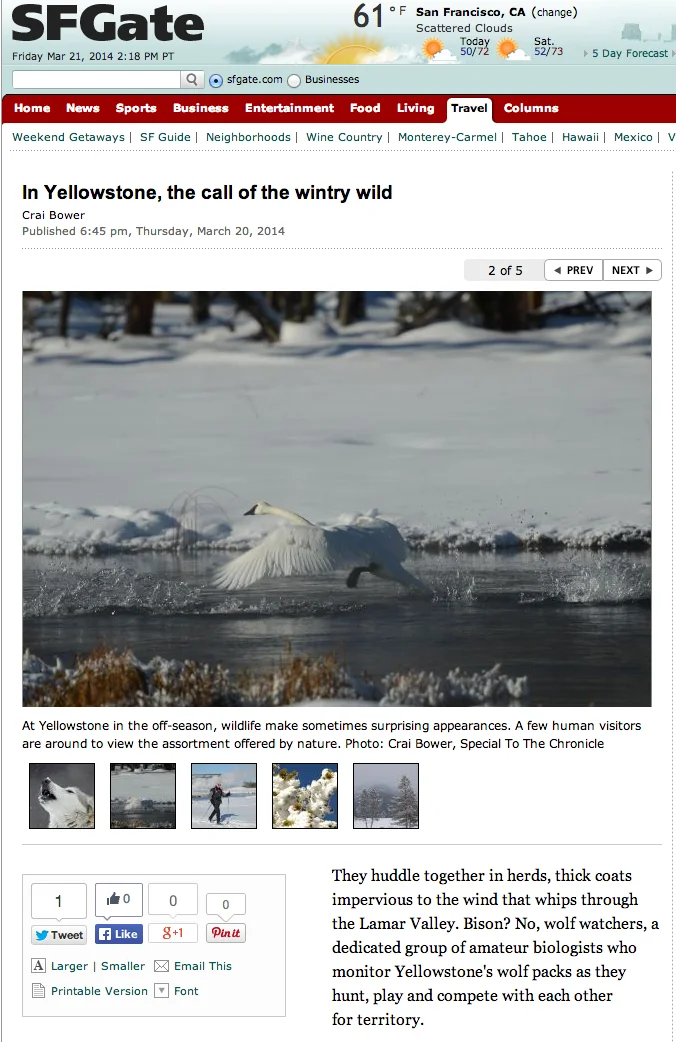 SF.Chron.Yellowstone.jpg