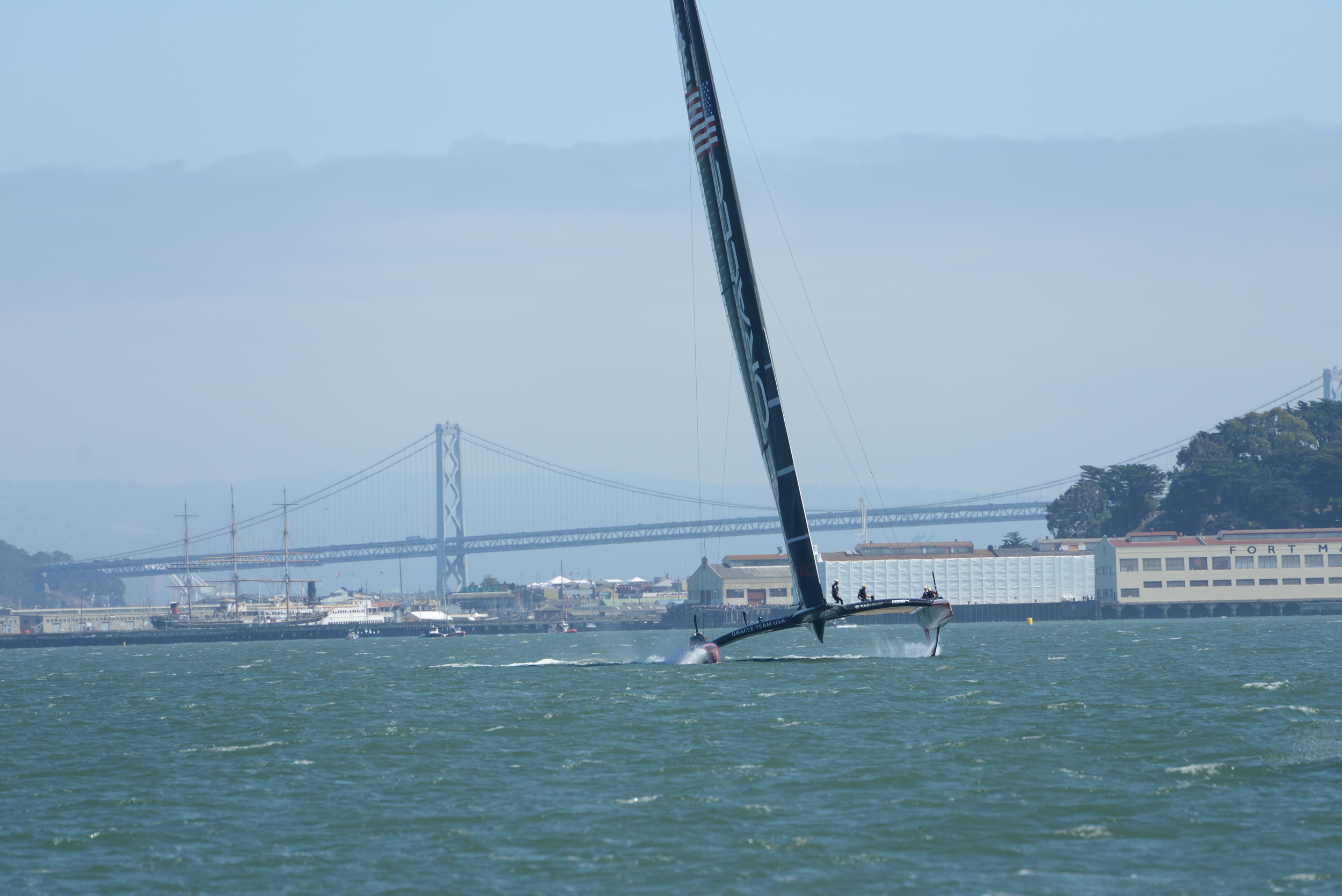 DSC_7313.JPG