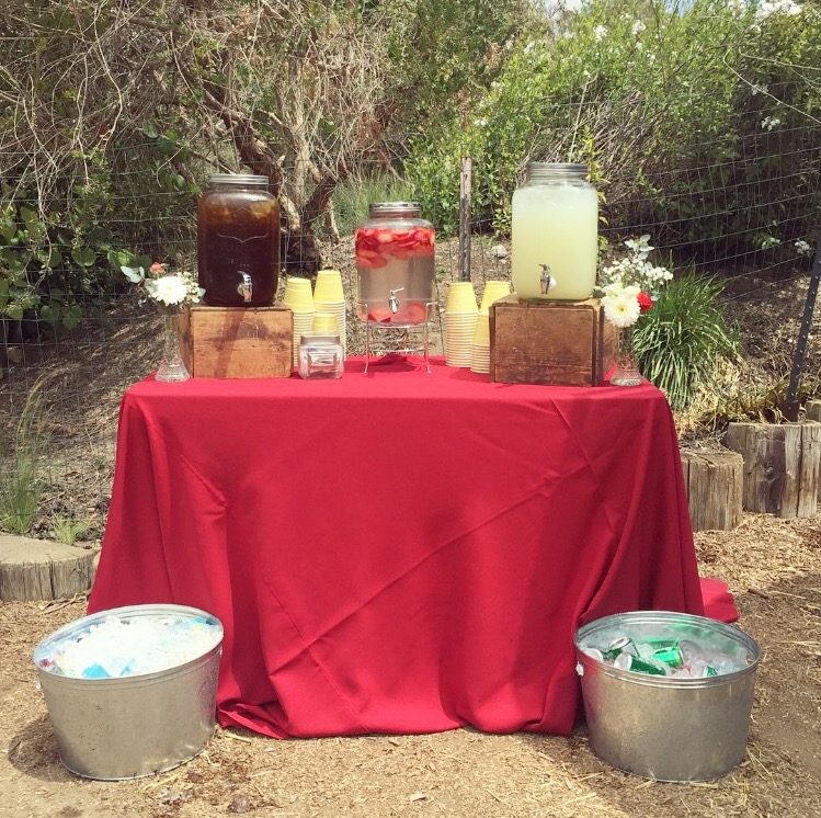savharperkidsparty1.jpg