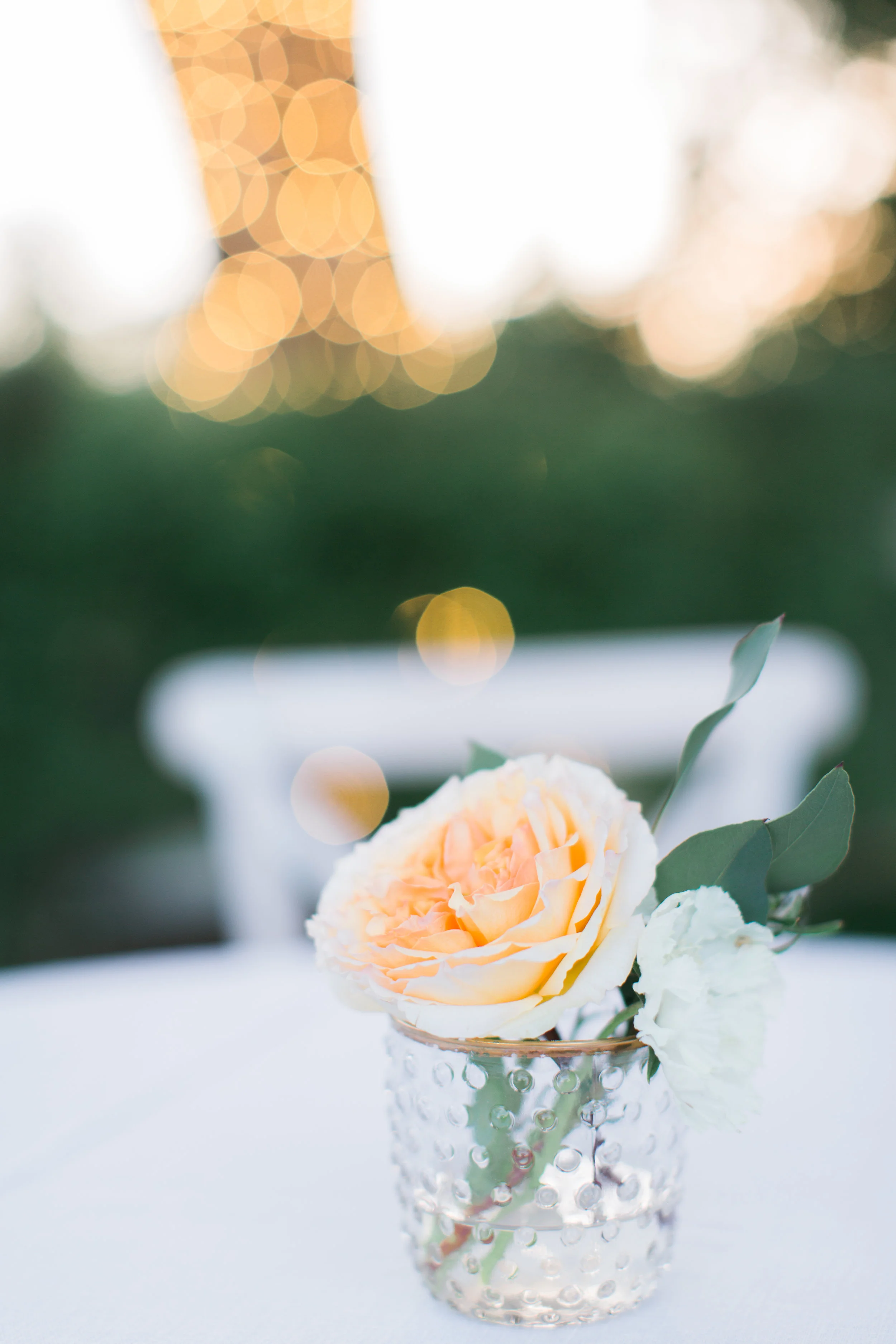 Brookview-Ranch-Styled-Shoot-455.jpg