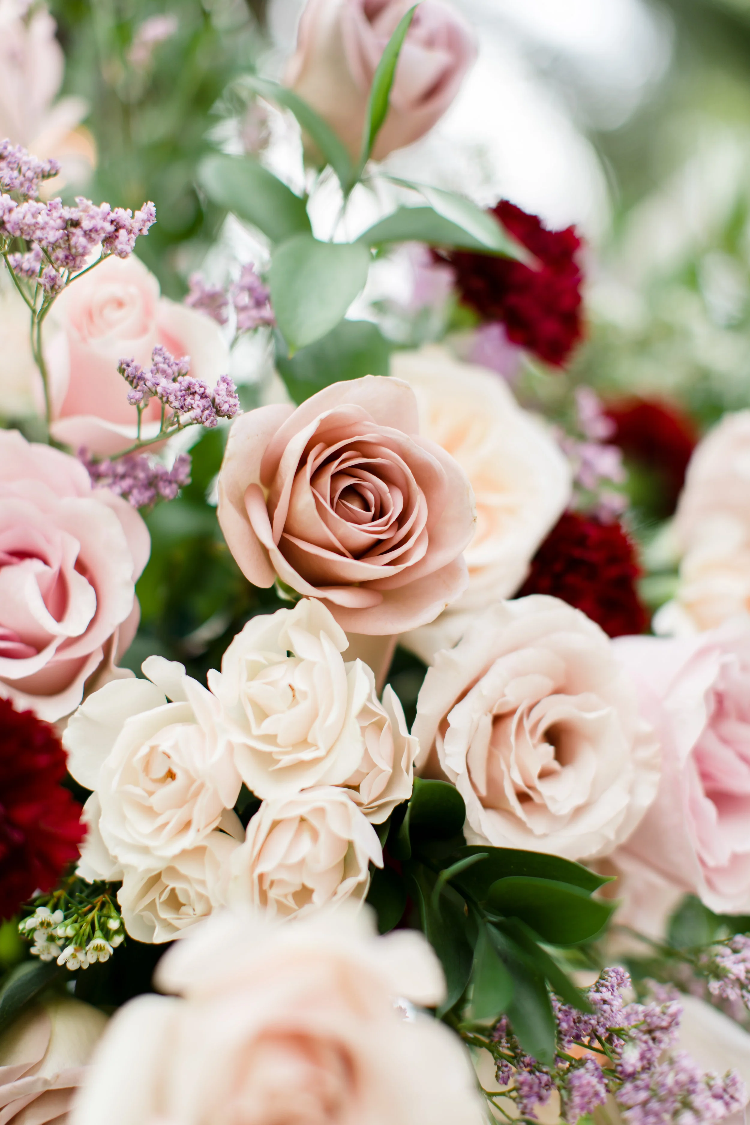 Sav-Flowers-10.jpg