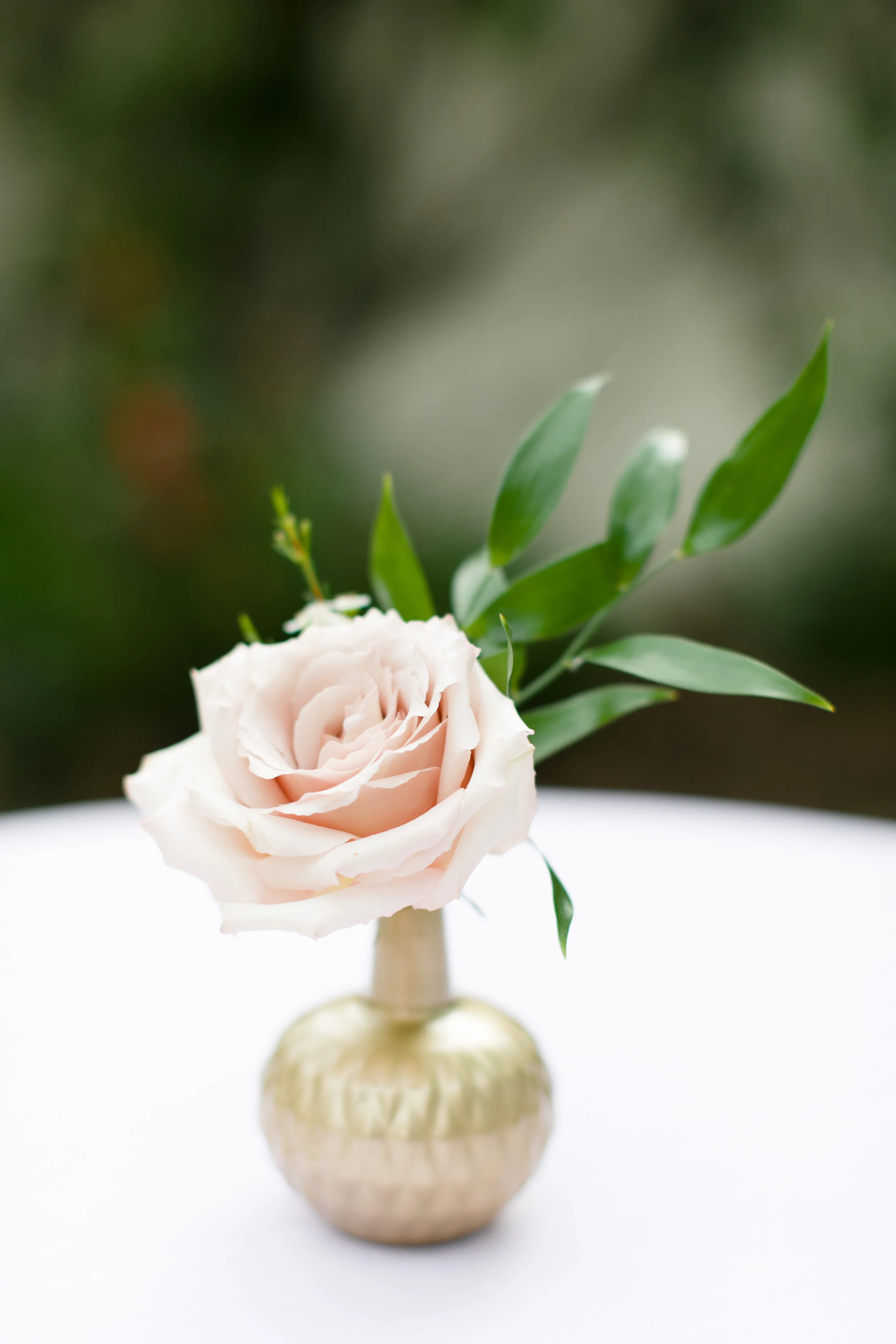 Sav-Flowers-39.jpg