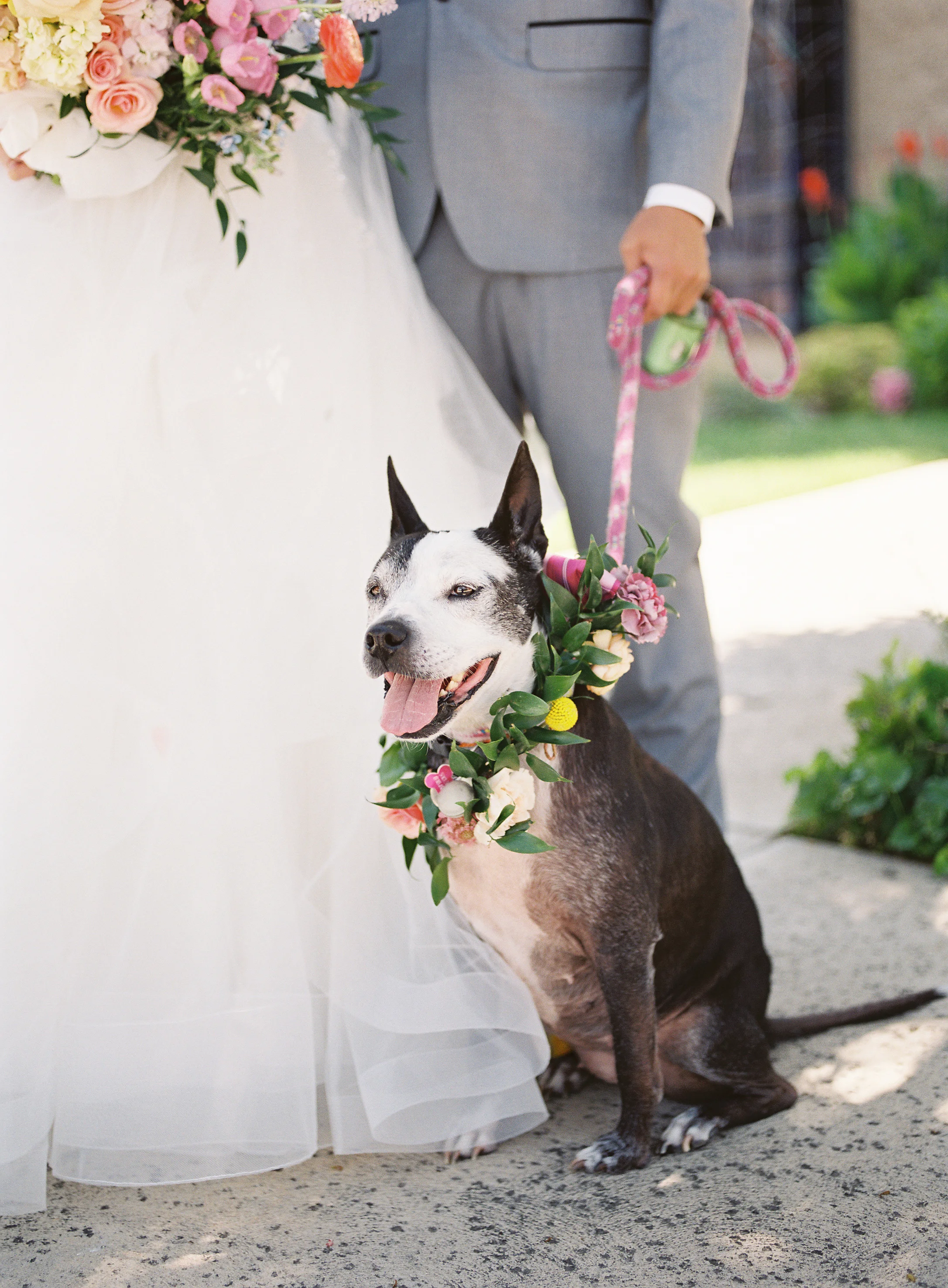 Portia-Lloyd-Wedding-Film-74.jpg