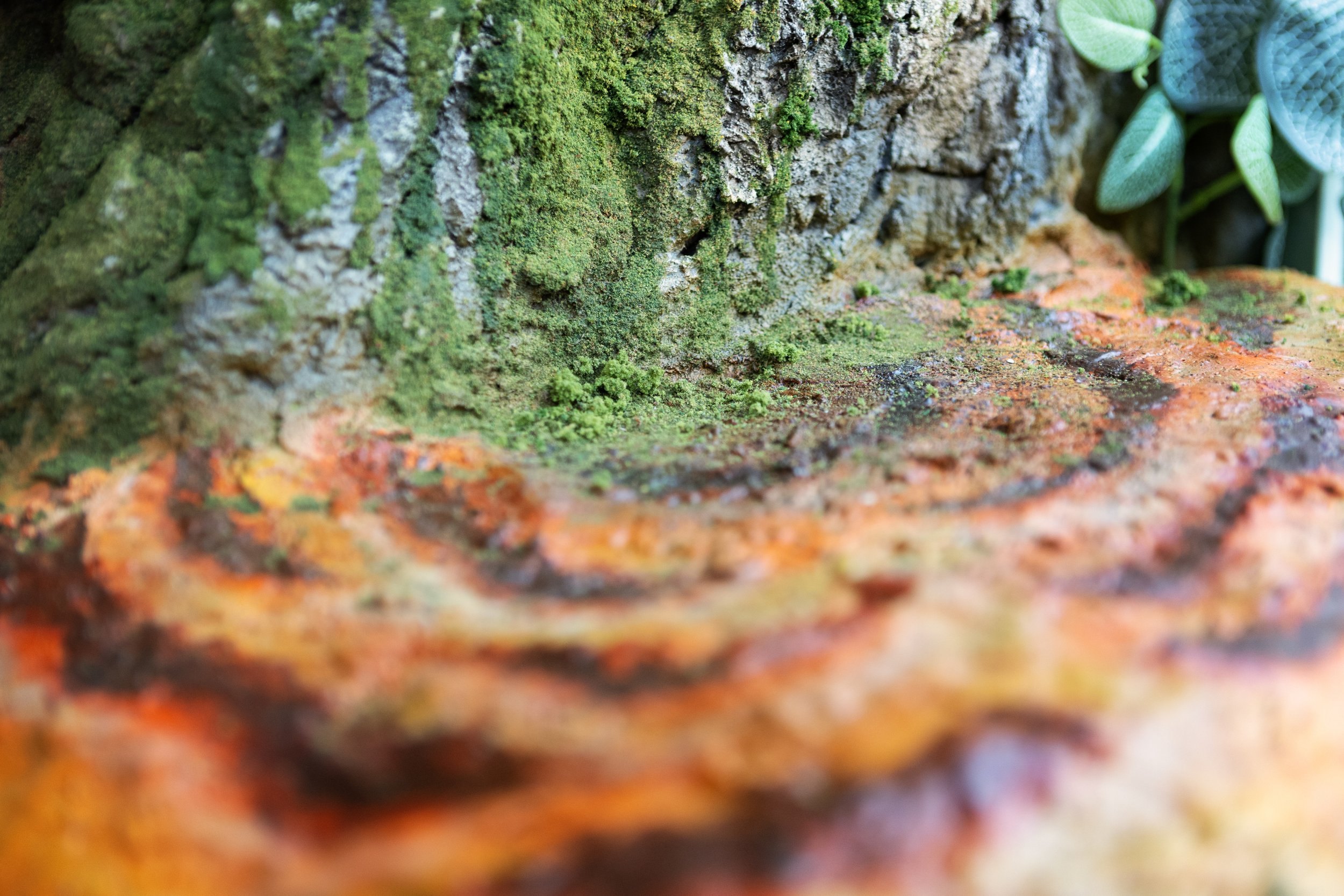 Incredible detail work on World Record Breaking Cat Tree by Arend Smith at Ravendark Creations