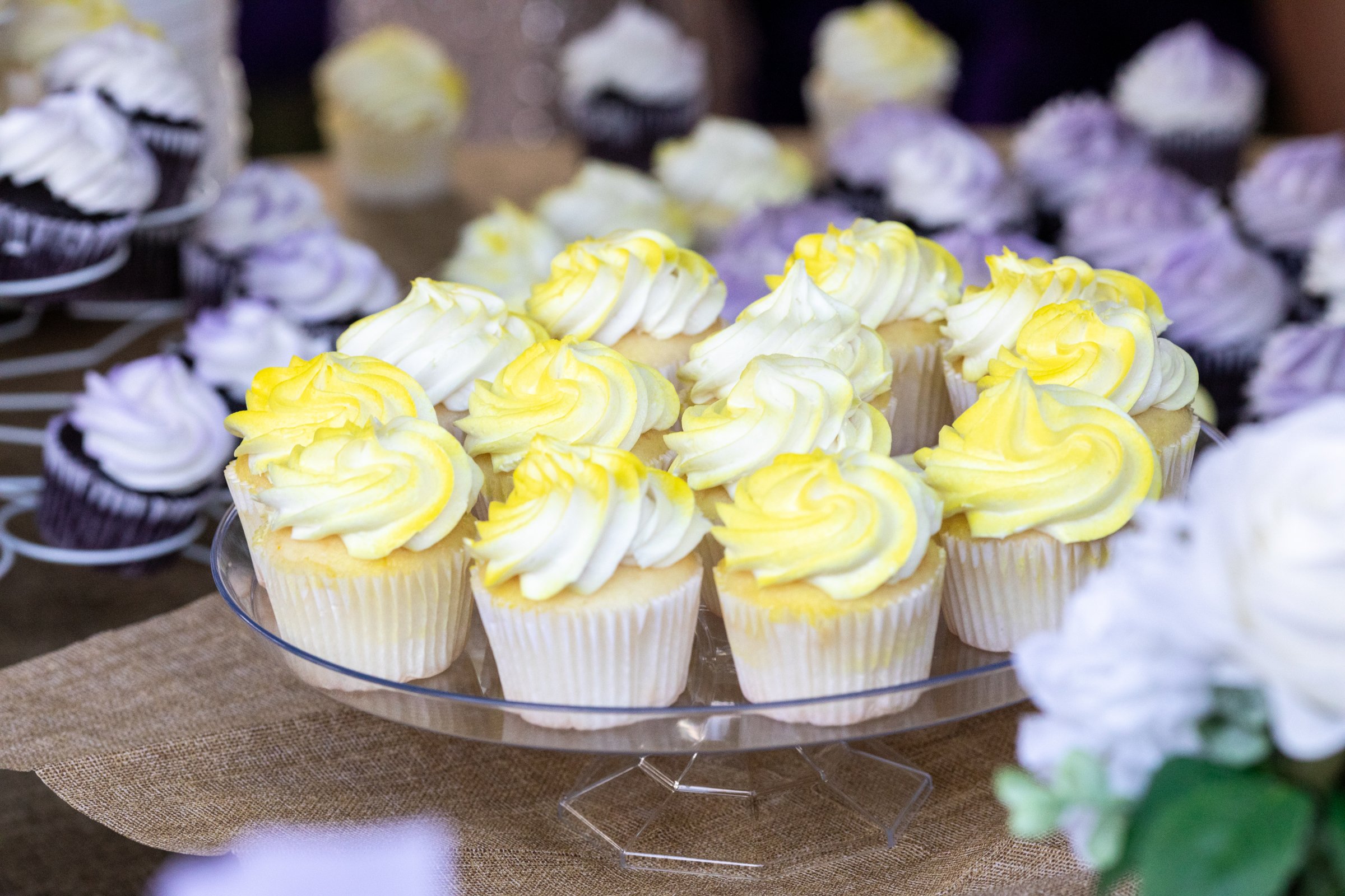 Cupcakes | Summer Weddings | Michigan Wedding Photography | Wedding Coverage | East Lansing Okemos Perry Brighton Wedding Photos | Female Photographer | LGBTQ+ Friendly Photographers | Williamston Studio