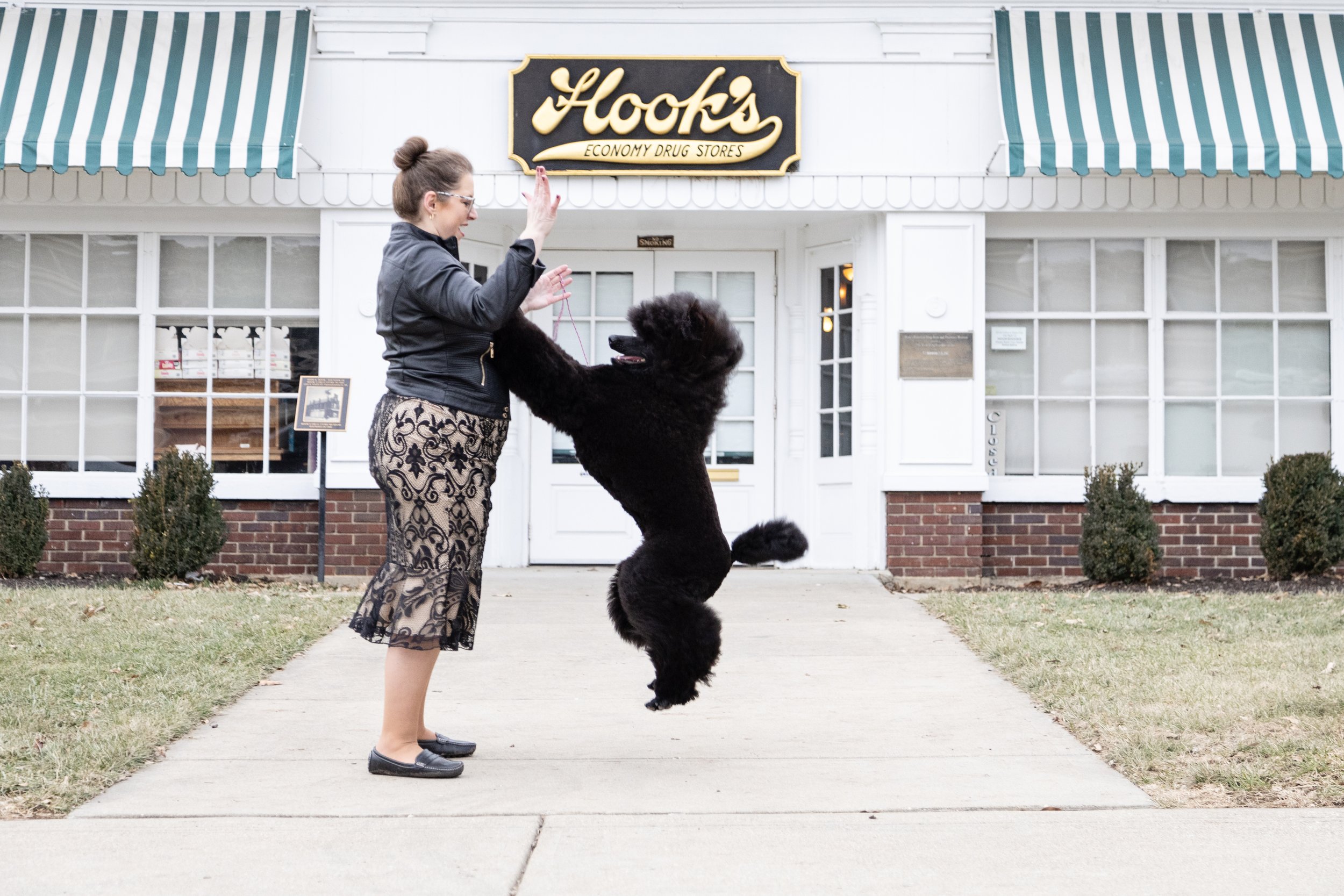 Puppy Perfection: A Day with GCH MBPISS Turkhaven Get Out The Map "Vacay"