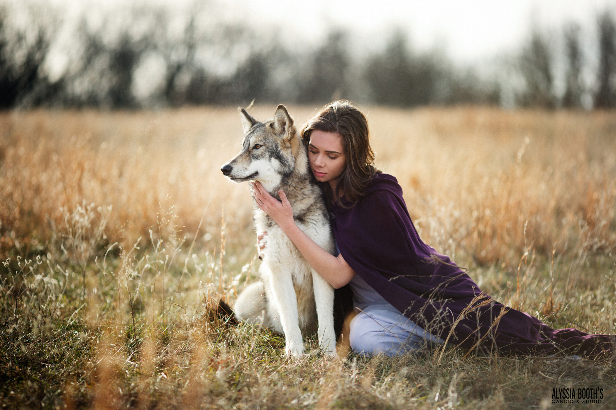 Michigan Pet Photographer Alyssia Booth | Williamston Studio | Okemos Area Pet Photography | Dog Photographer  | Studio and Outdoor Pet Photography | Michigan Photographer