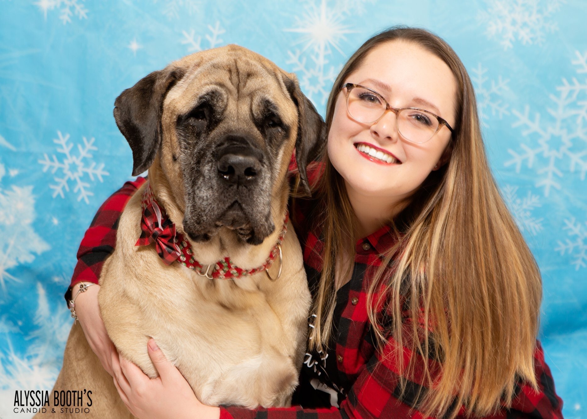 Michigan Pet Photographer Alyssia Booth | Williamston Studio | Okemos Area Pet Photography | Dog Photographer | Studio and Outdoor Pet Photography | Michigan Photographer