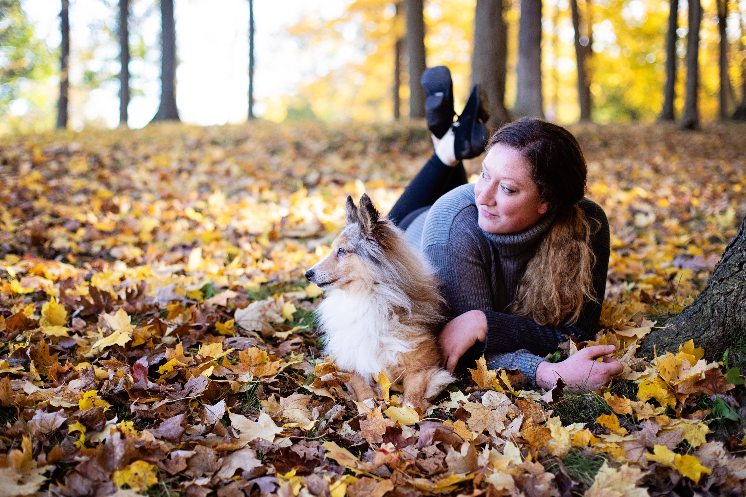 Michigan Pet Photographer Alyssia Booth | Williamston Studio | Okemos Area Pet Photography | Dog Photographer  | Studio and Outdoor Pet Photography | Michigan Photographer