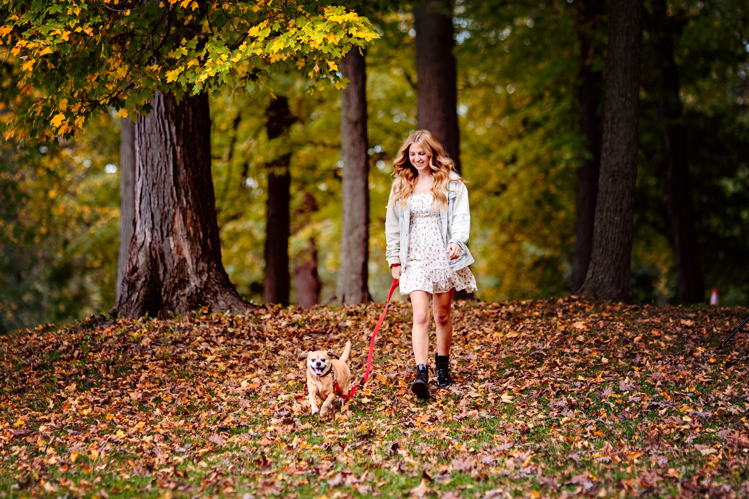 Michigan Pet Photographer Alyssia Booth | Williamston Studio | Okemos Area Pet Photography | Dog Photographer  | Studio and Outdoor Pet Photography | Michigan Photographer