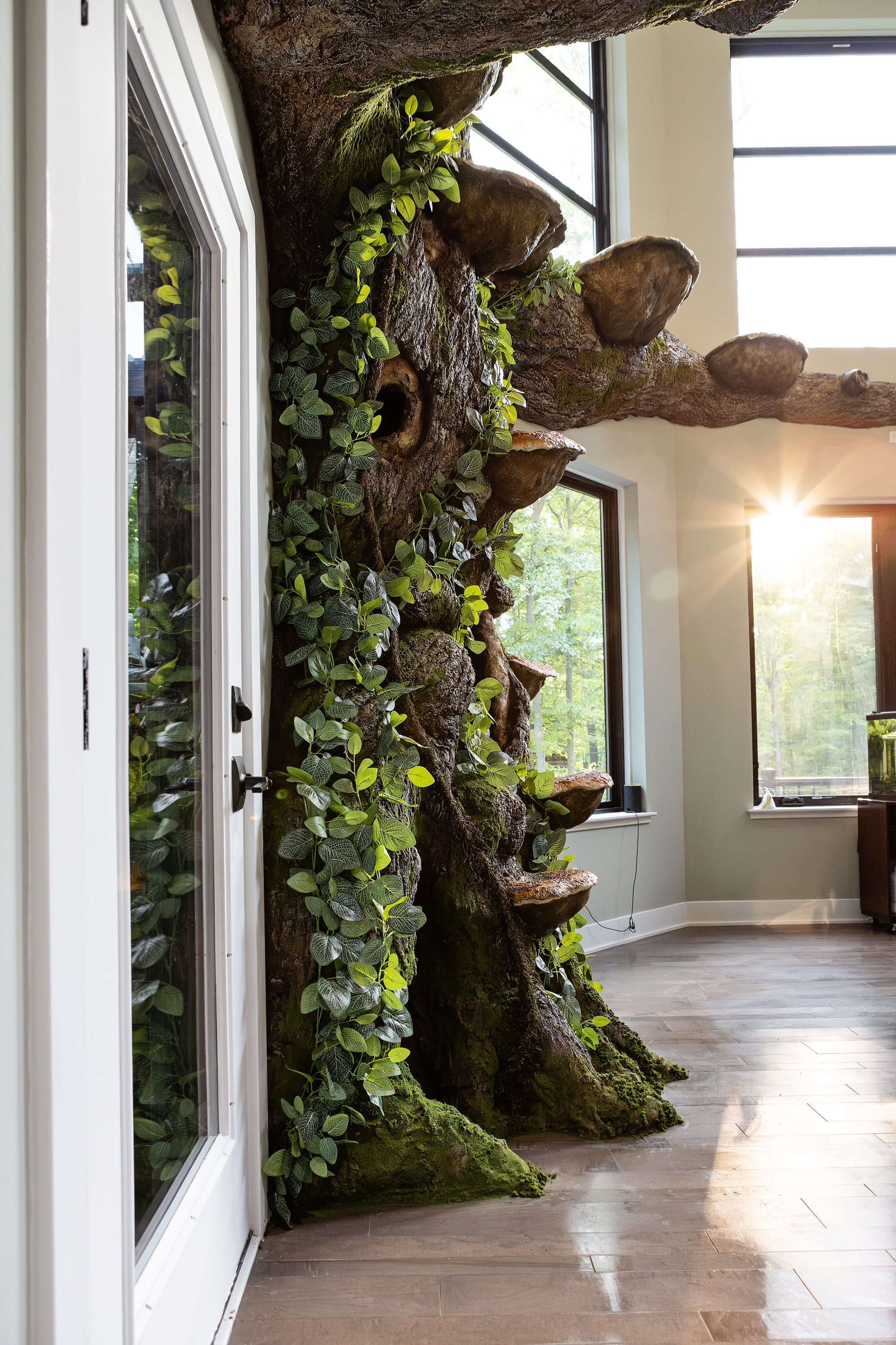 Sunlight on the worlds largest cat tree