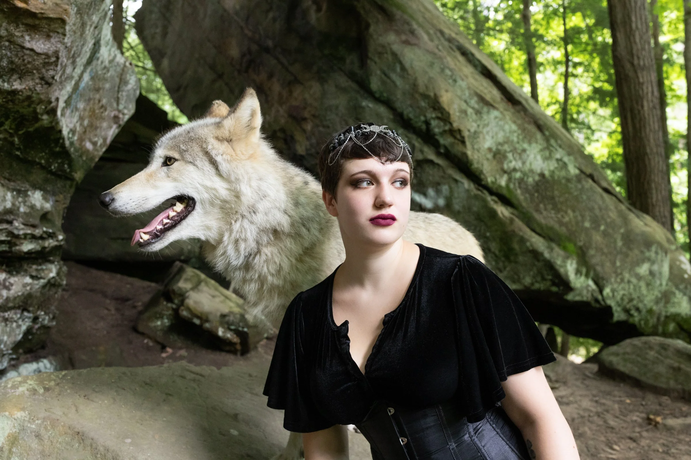 LJ's Senior Photo Session with Alma the Wolf in Ohio