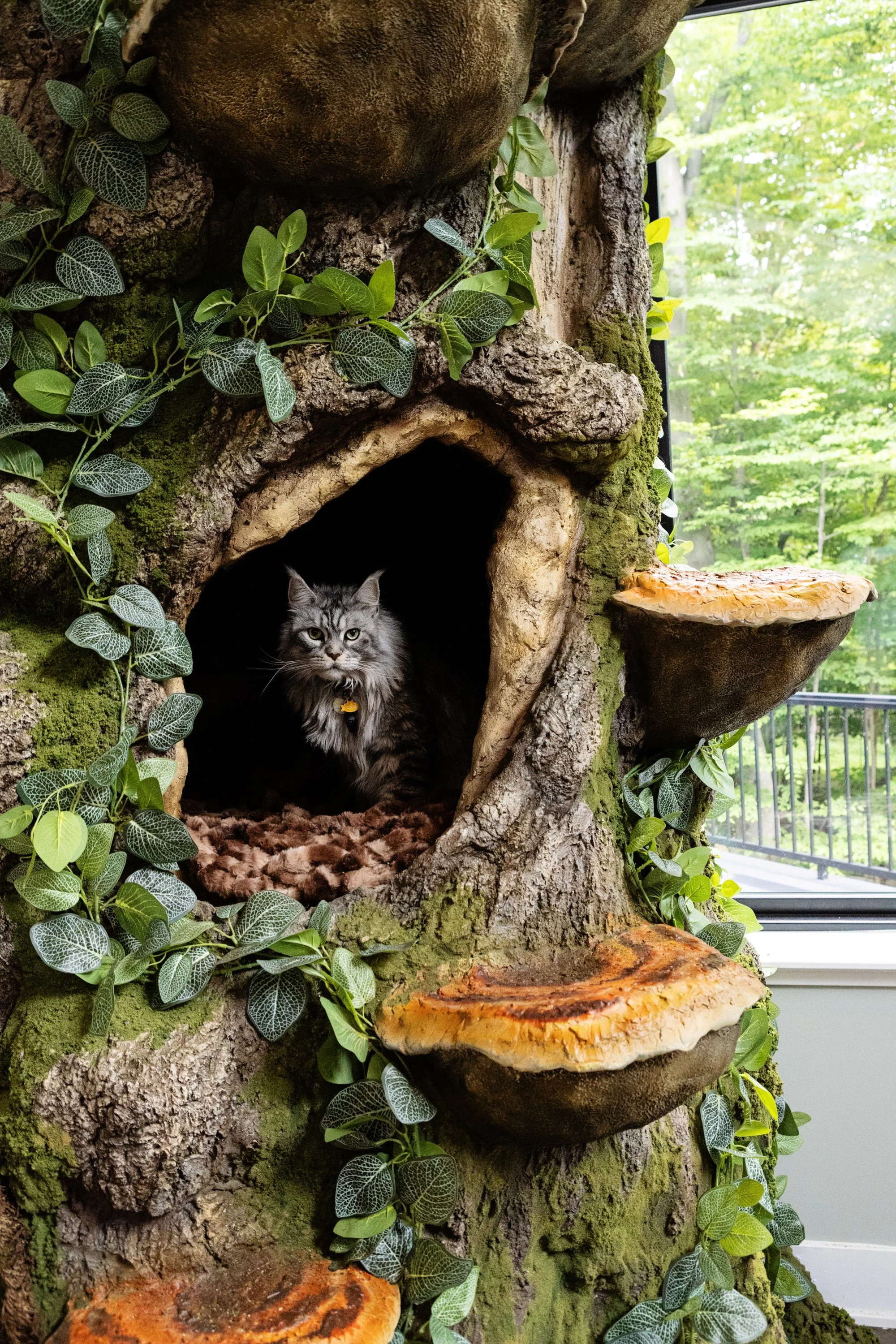 Ravendark's World Record Breaking Cat Tree!! 