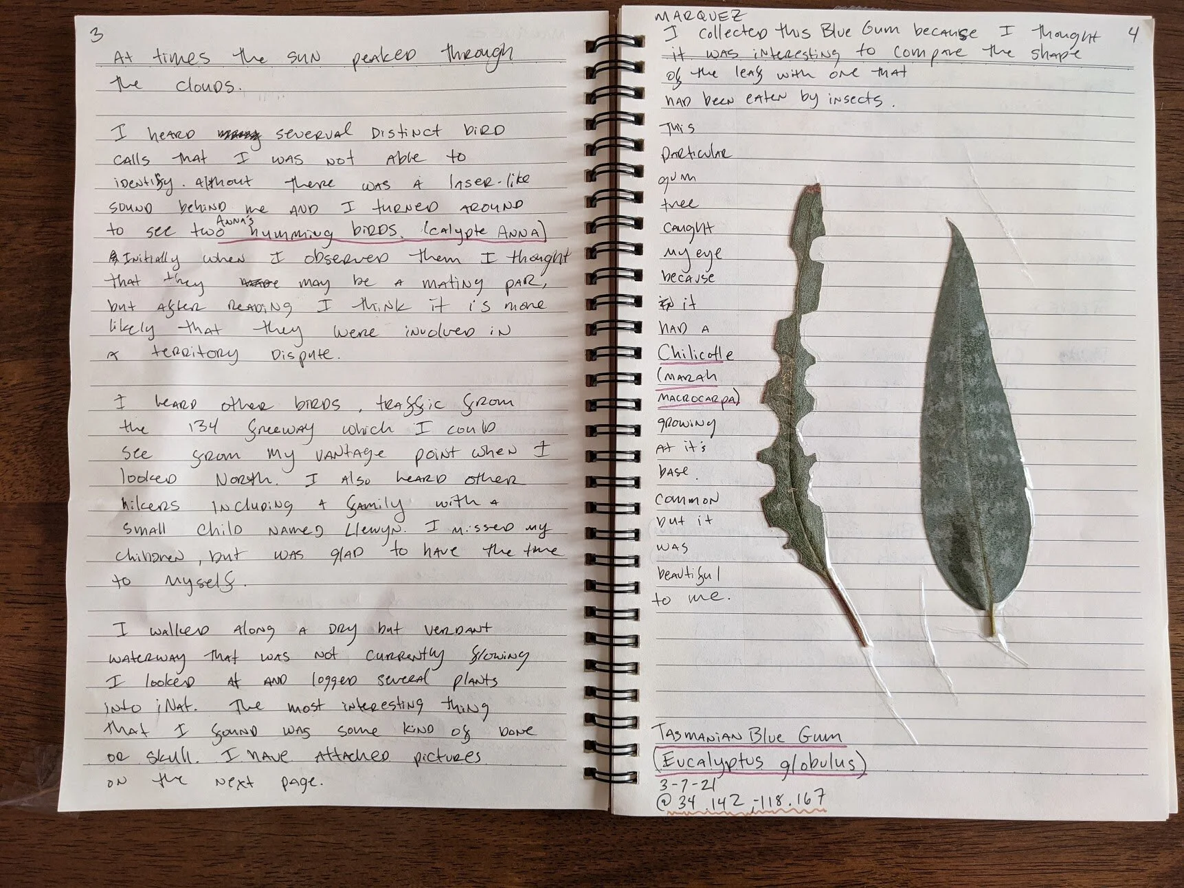 Field Journal 2021_3.jpg