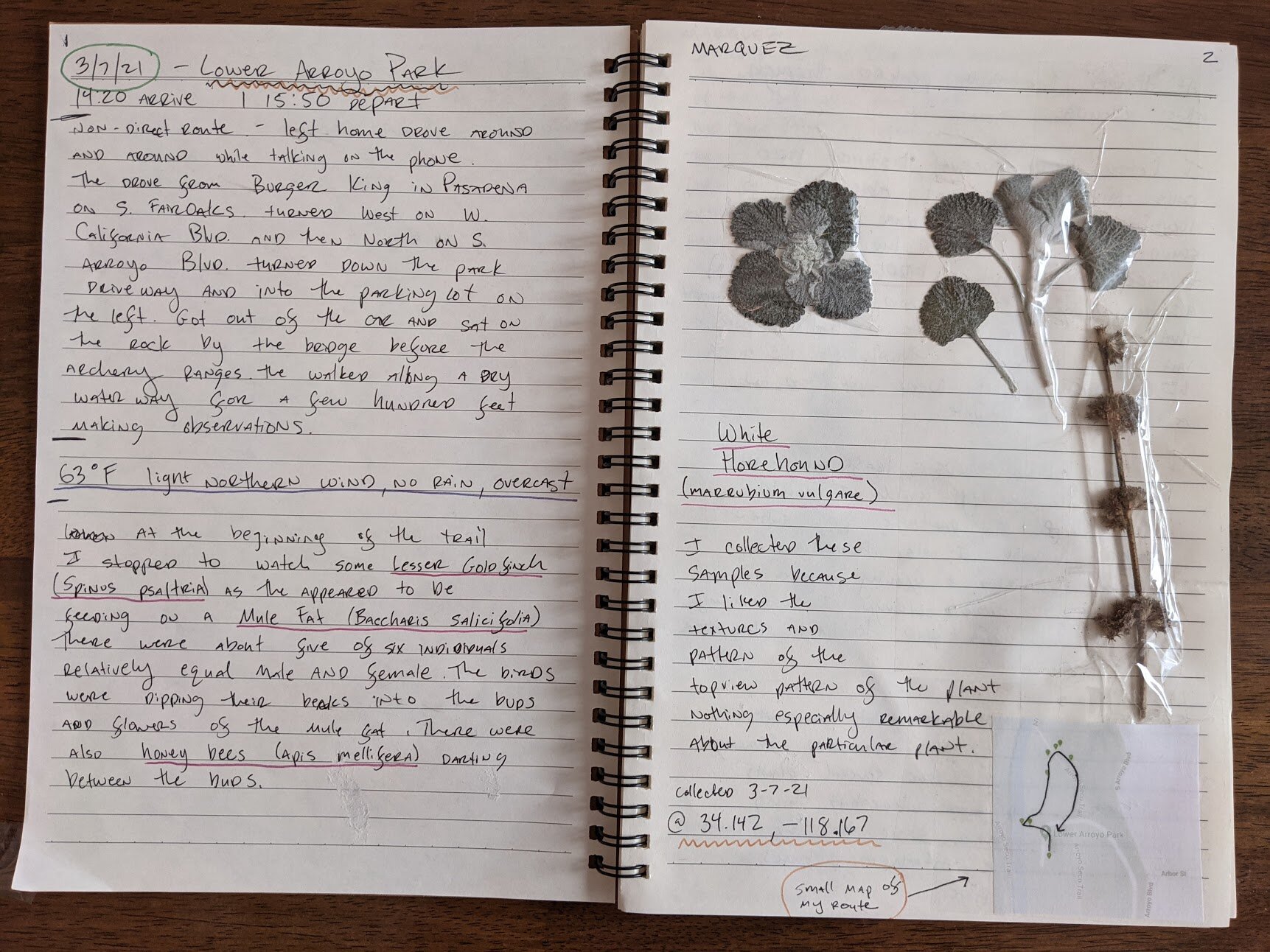 Field Journal 2021_1.jpg