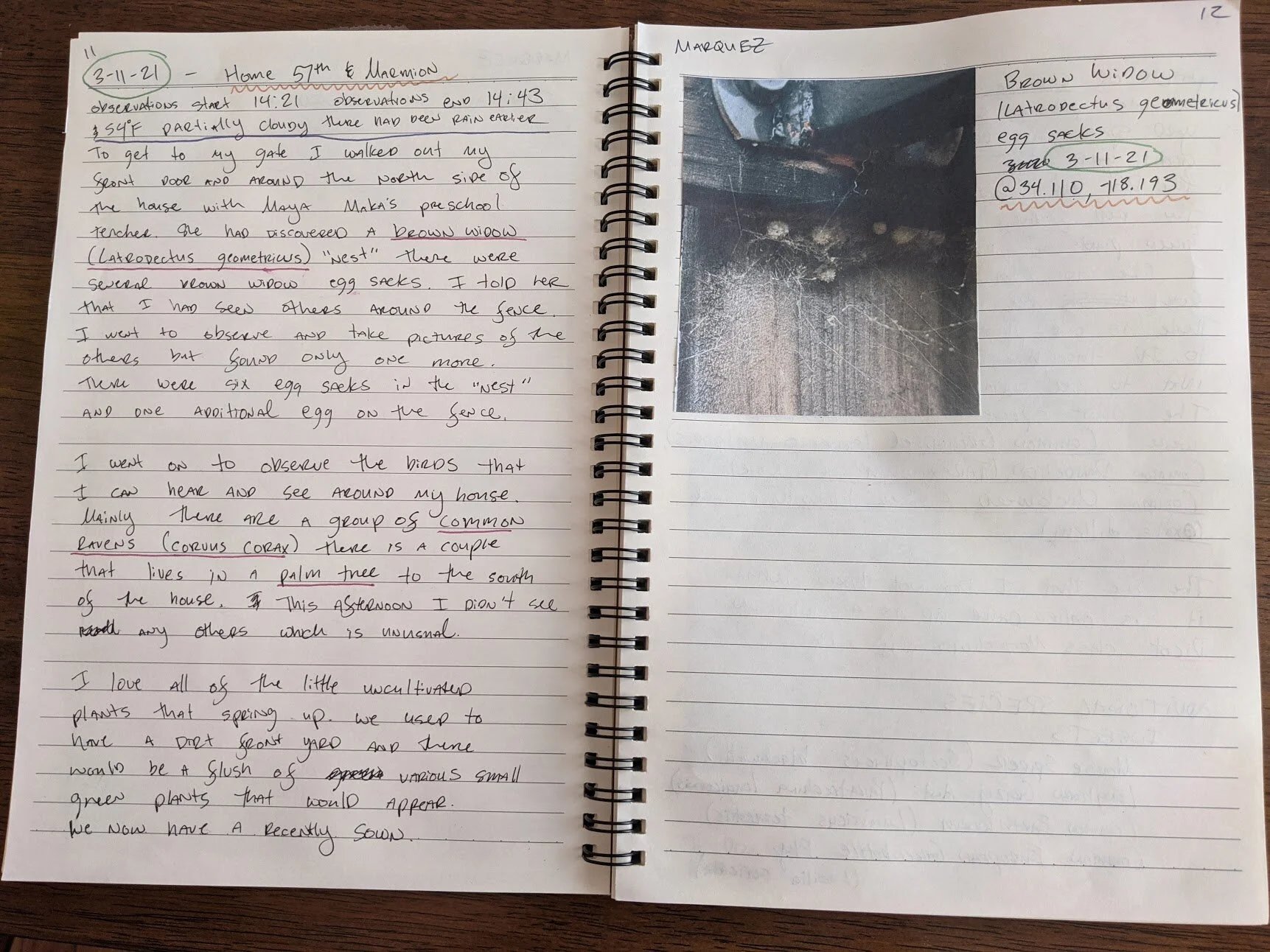 Field Journal 2021_11.jpg