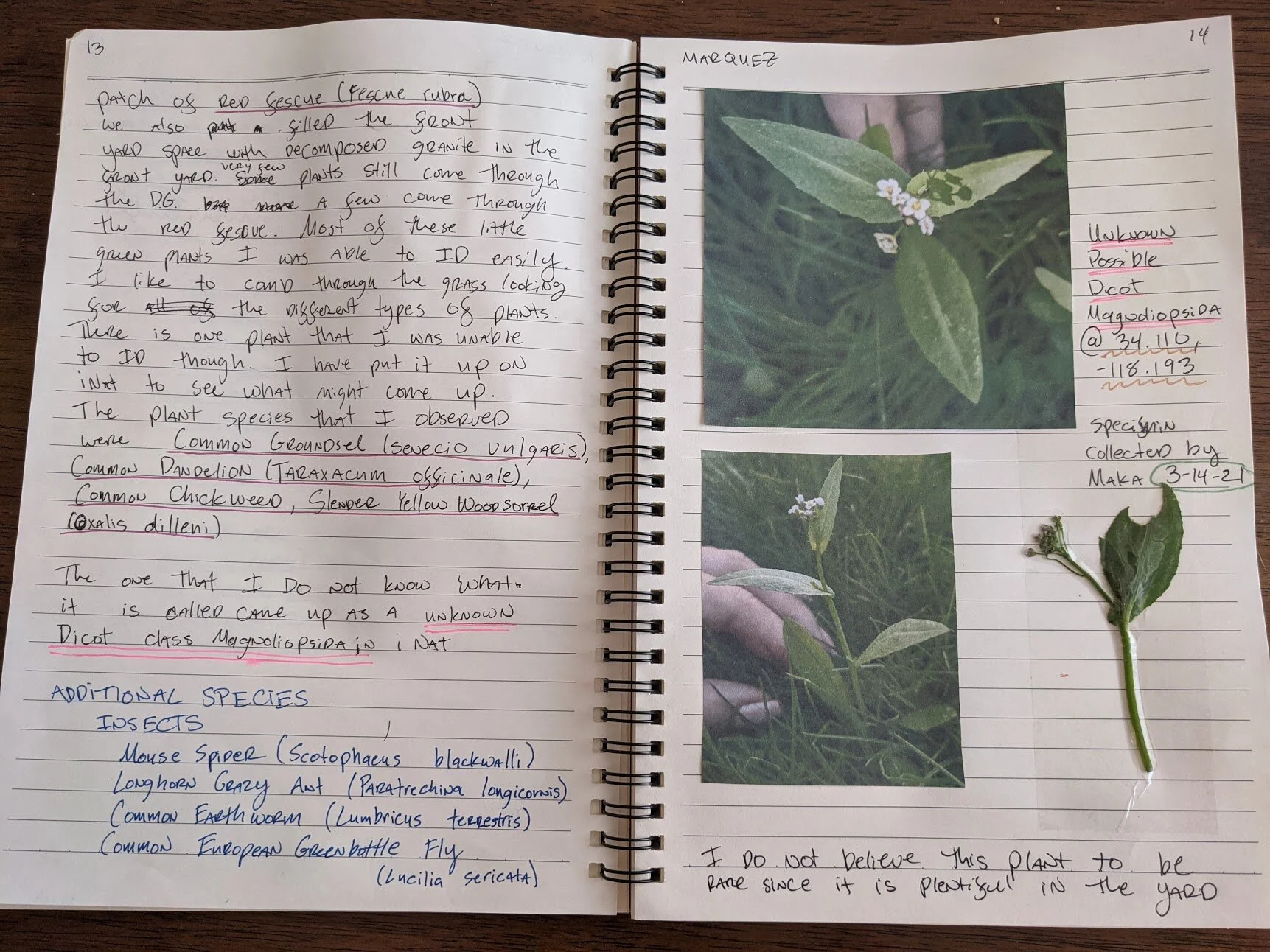 Field Journal 2021_13.jpg