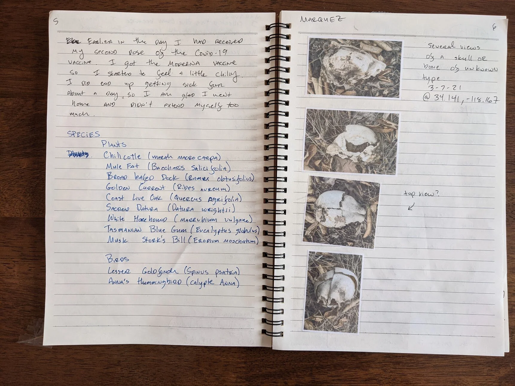 Field Journal 2021_5.jpg